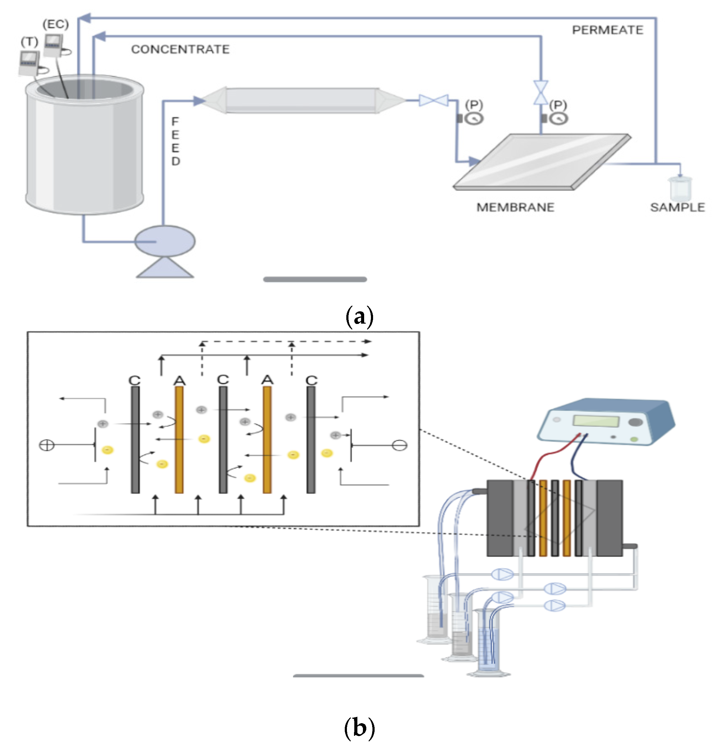 Membranes 12 00746 g002 550