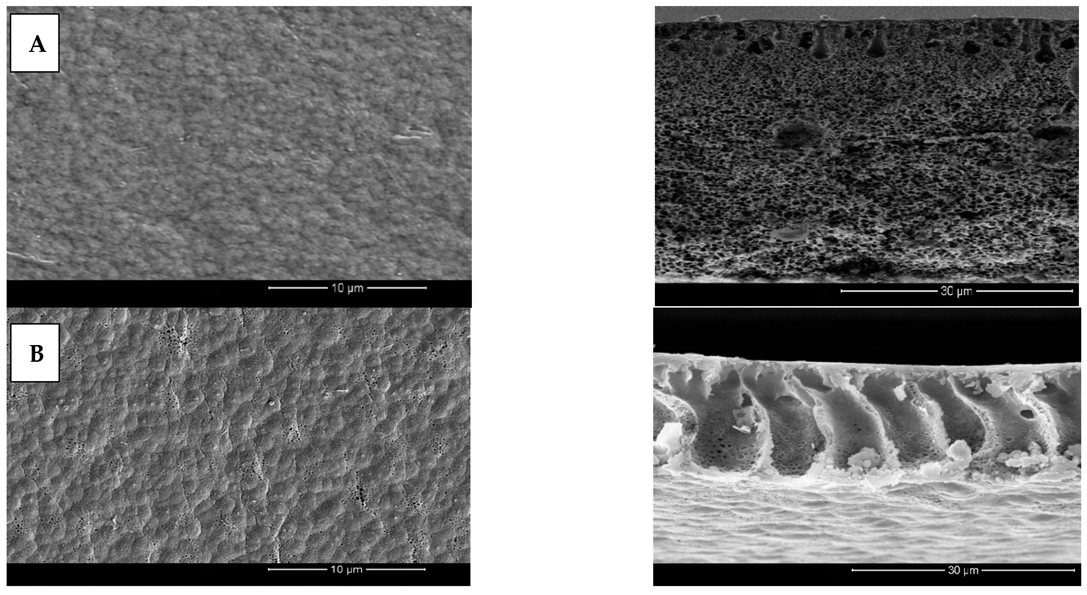 Membranes 12 00751 g007a