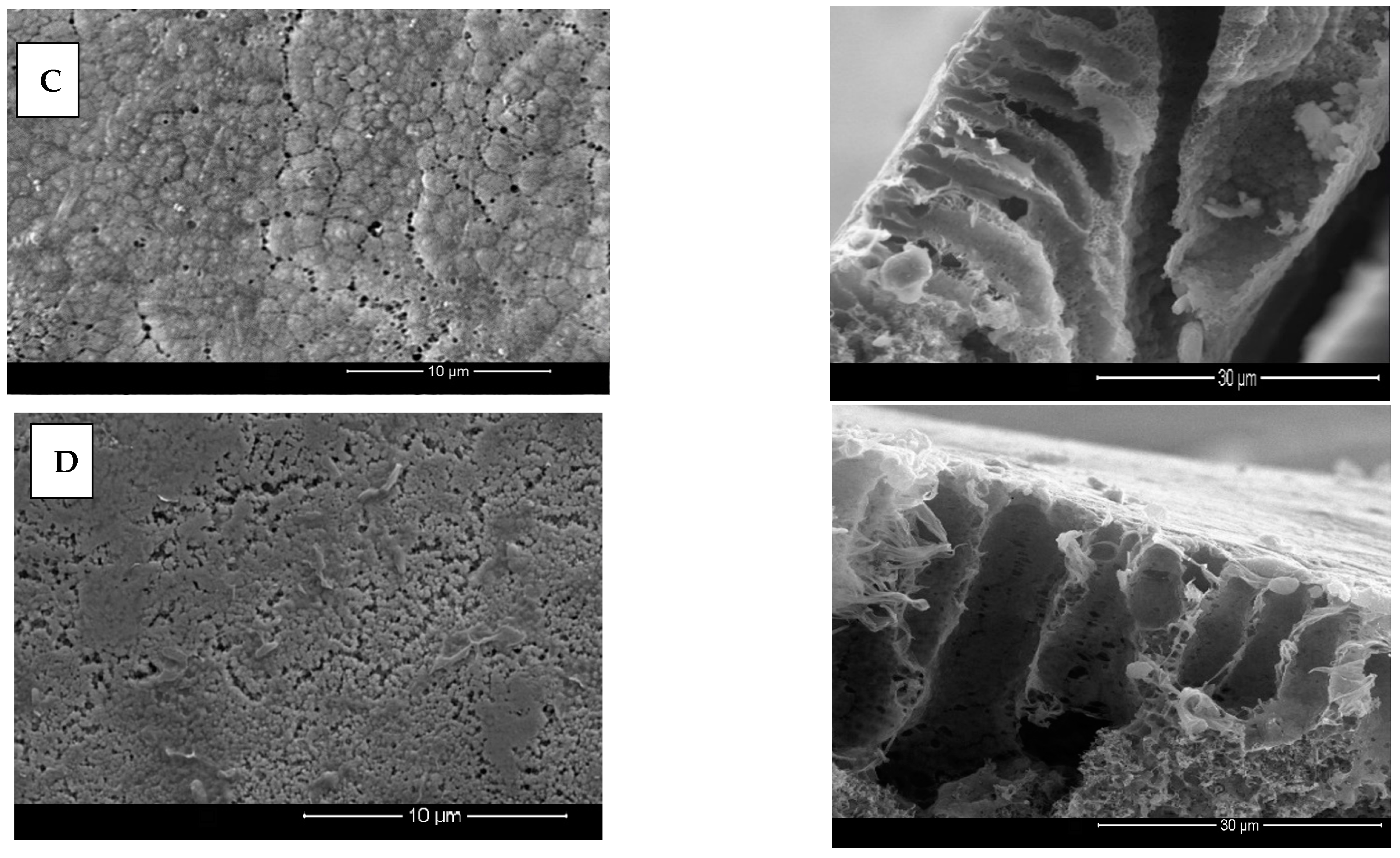 Membranes 12 00751 g007b