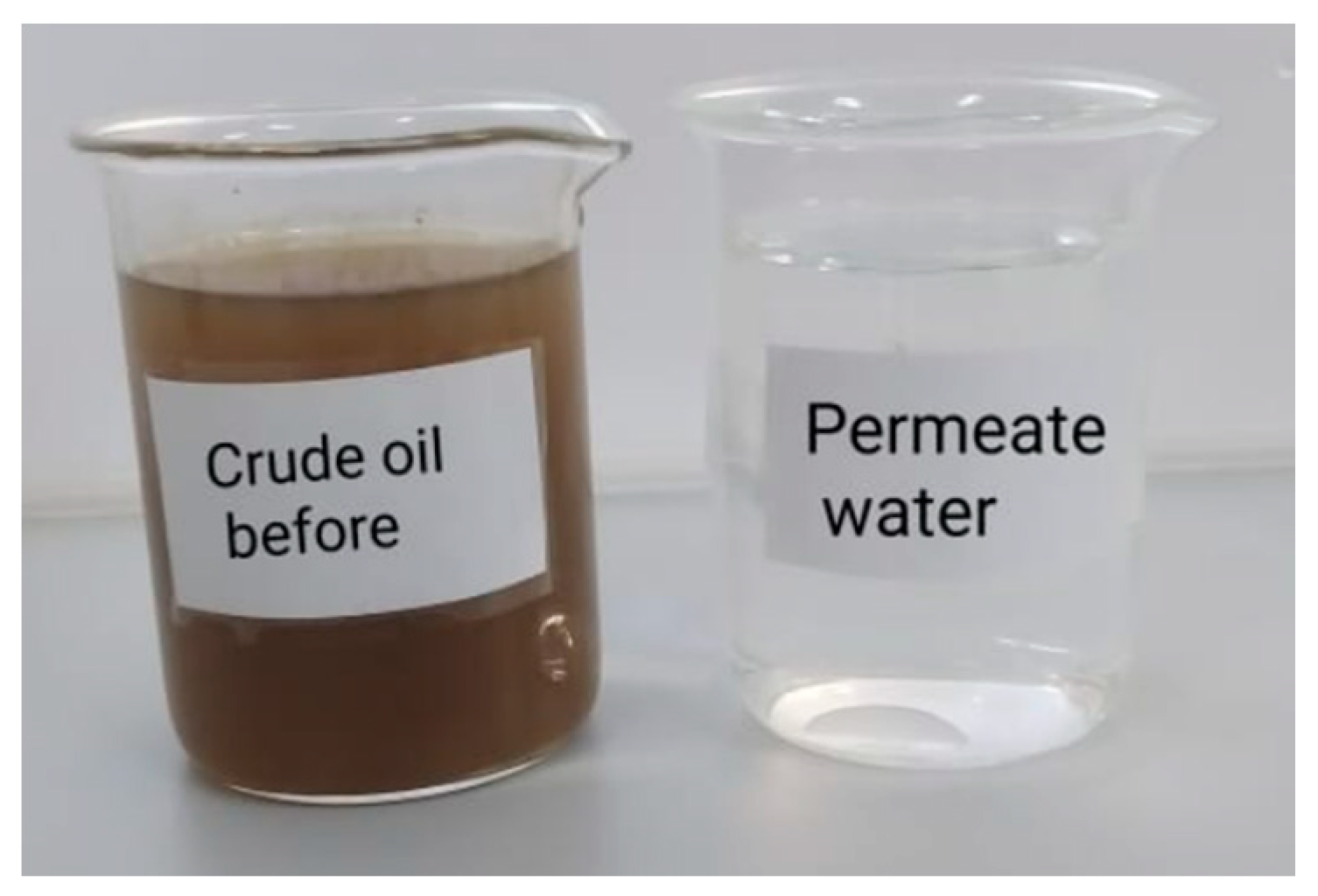 Membranes 12 00751 g011