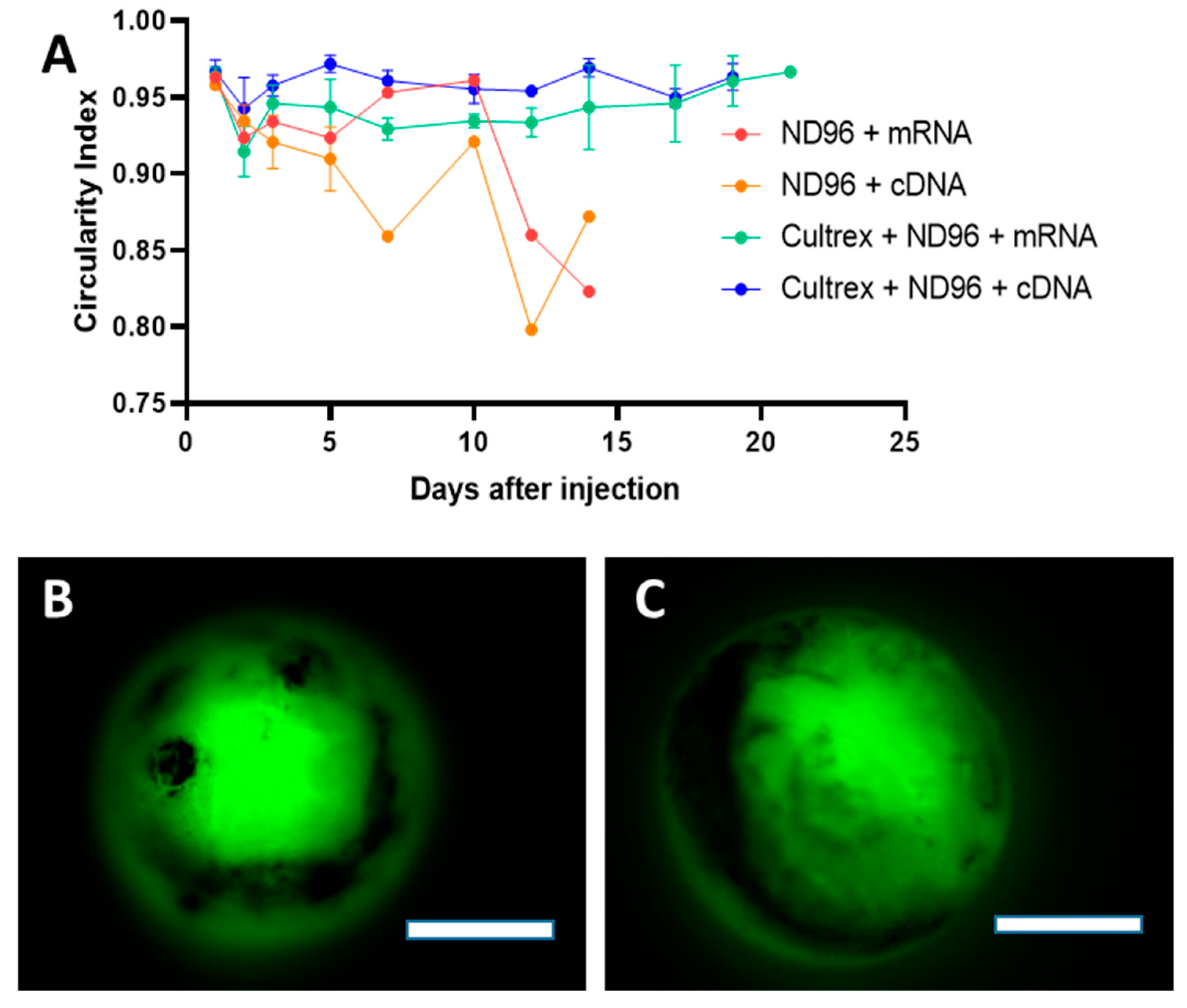 Membranes 12 00754 g003 550