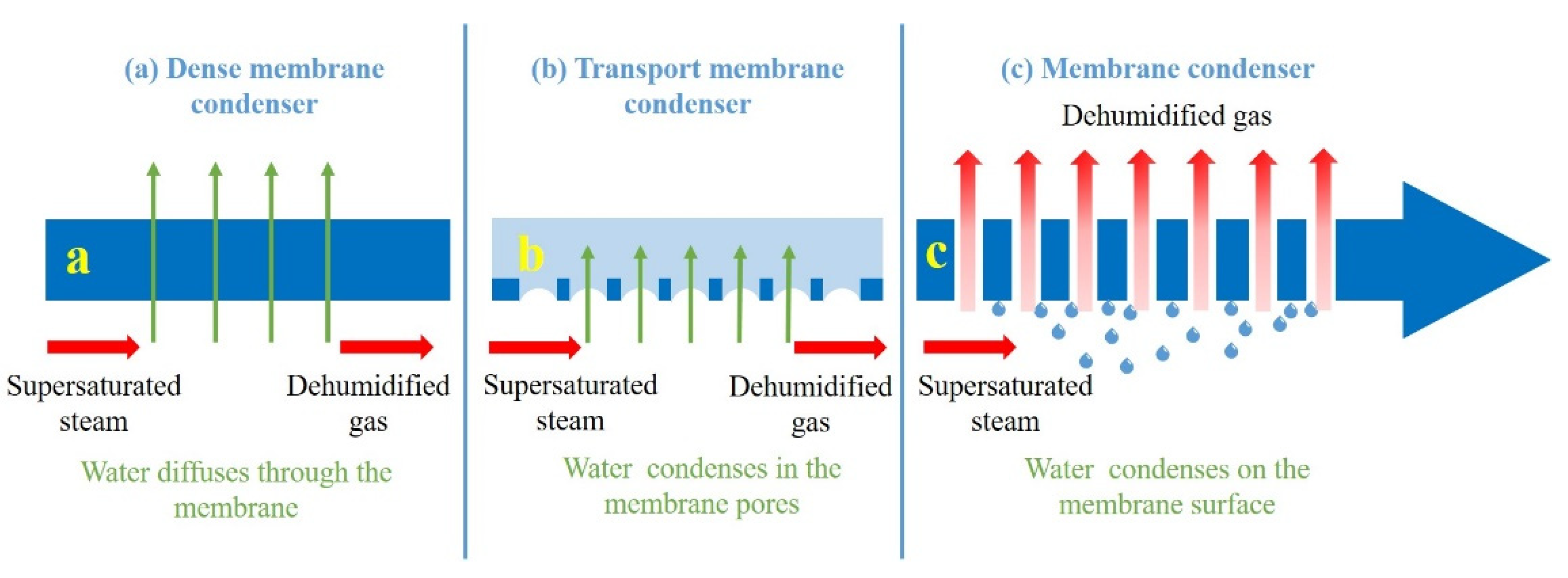 Membranes 12 00757 g001 550