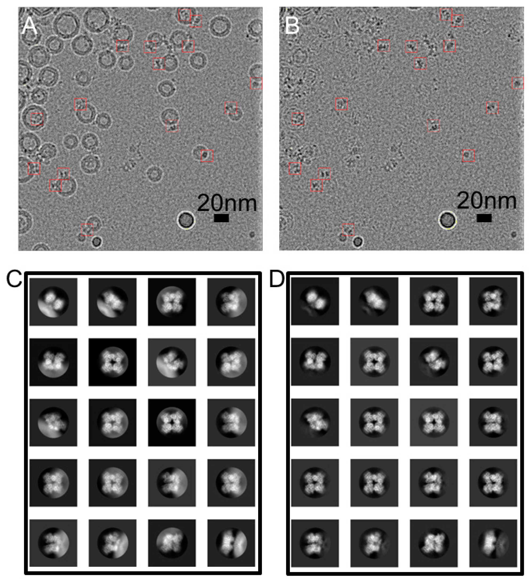 Membranes 12 00758 g001 Membranes 12 00758 g001