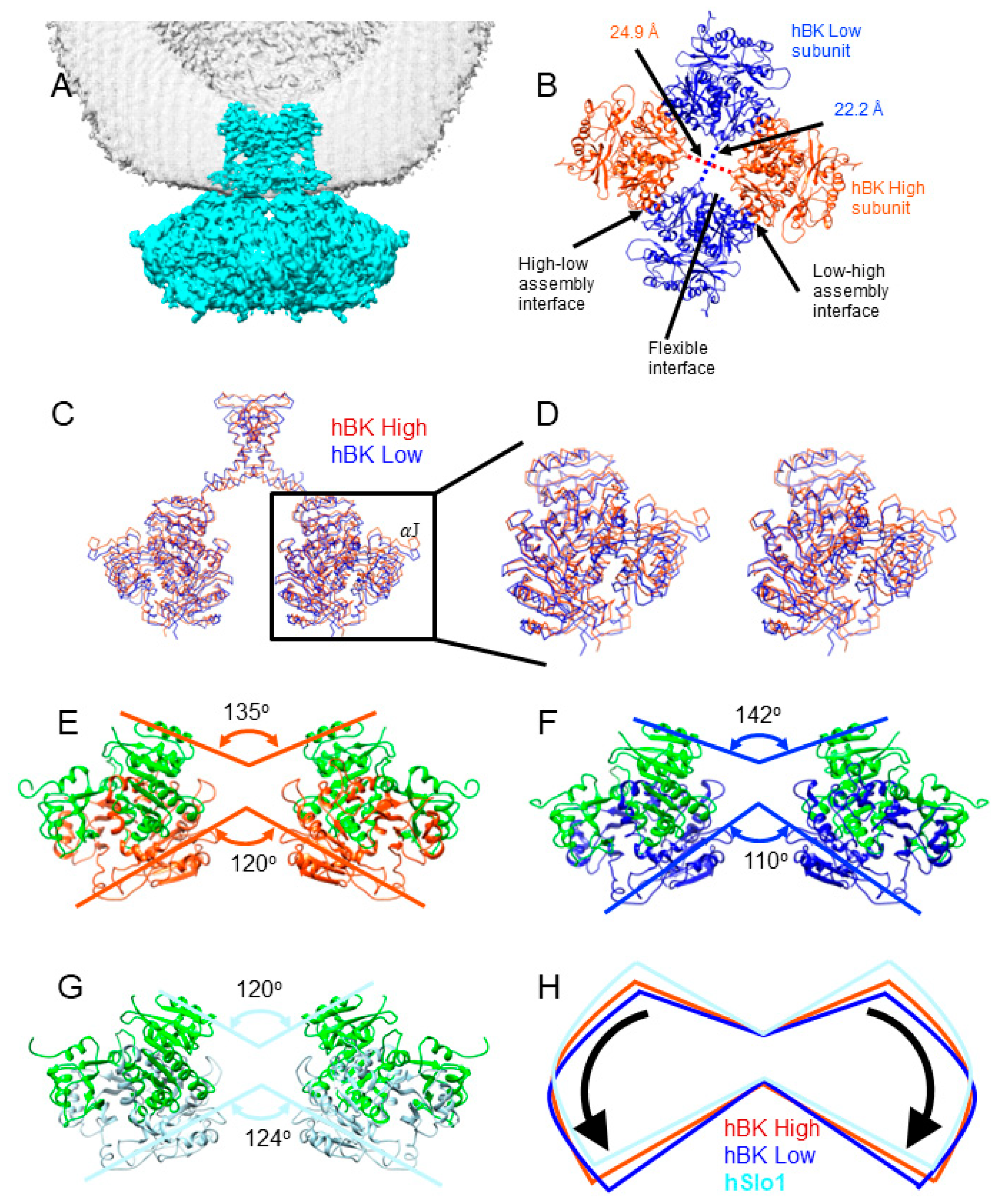 Membranes 12 00758 g003 Membranes 12 00758 g003