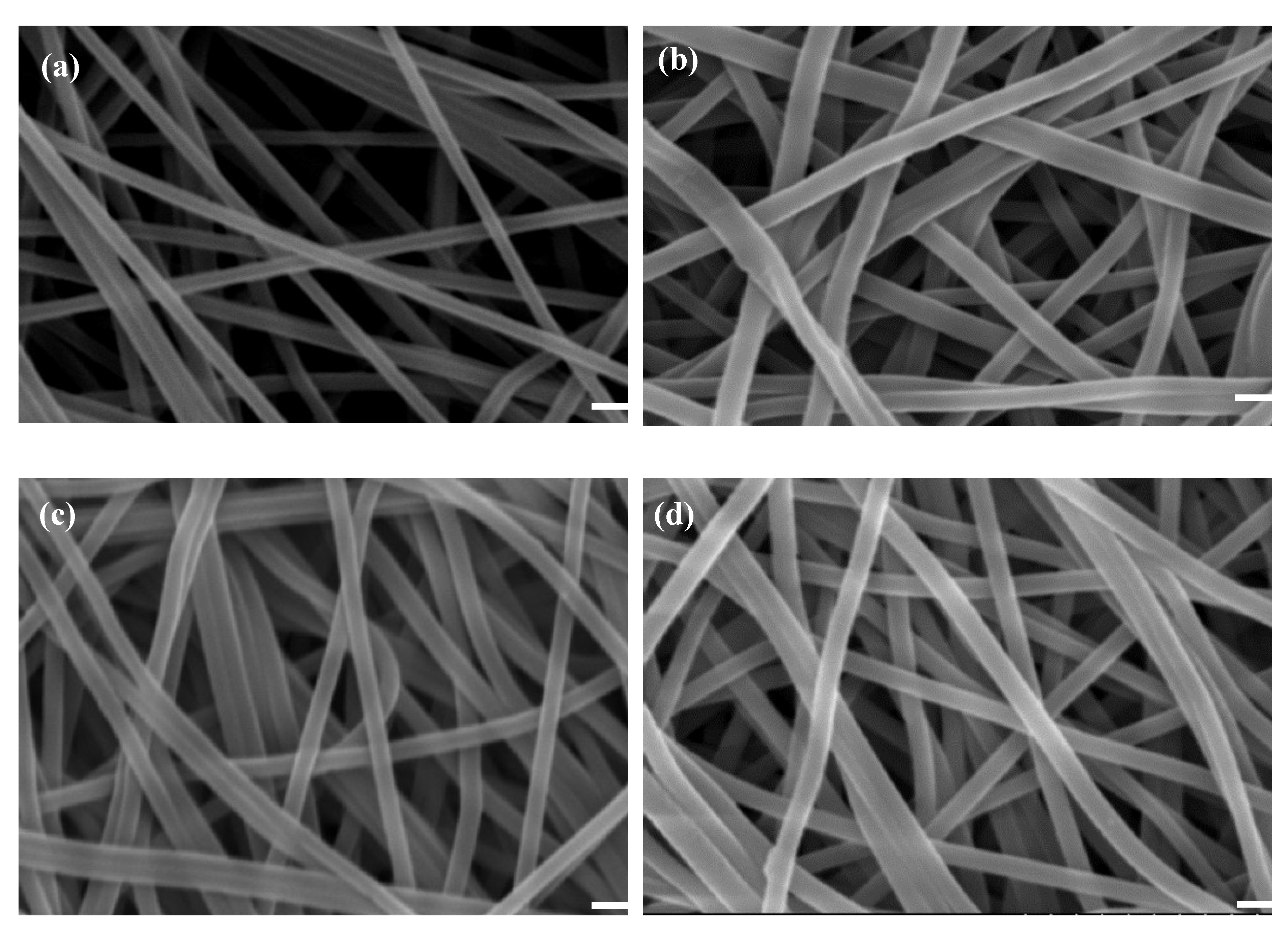 Membranes 12 00759 g003 550