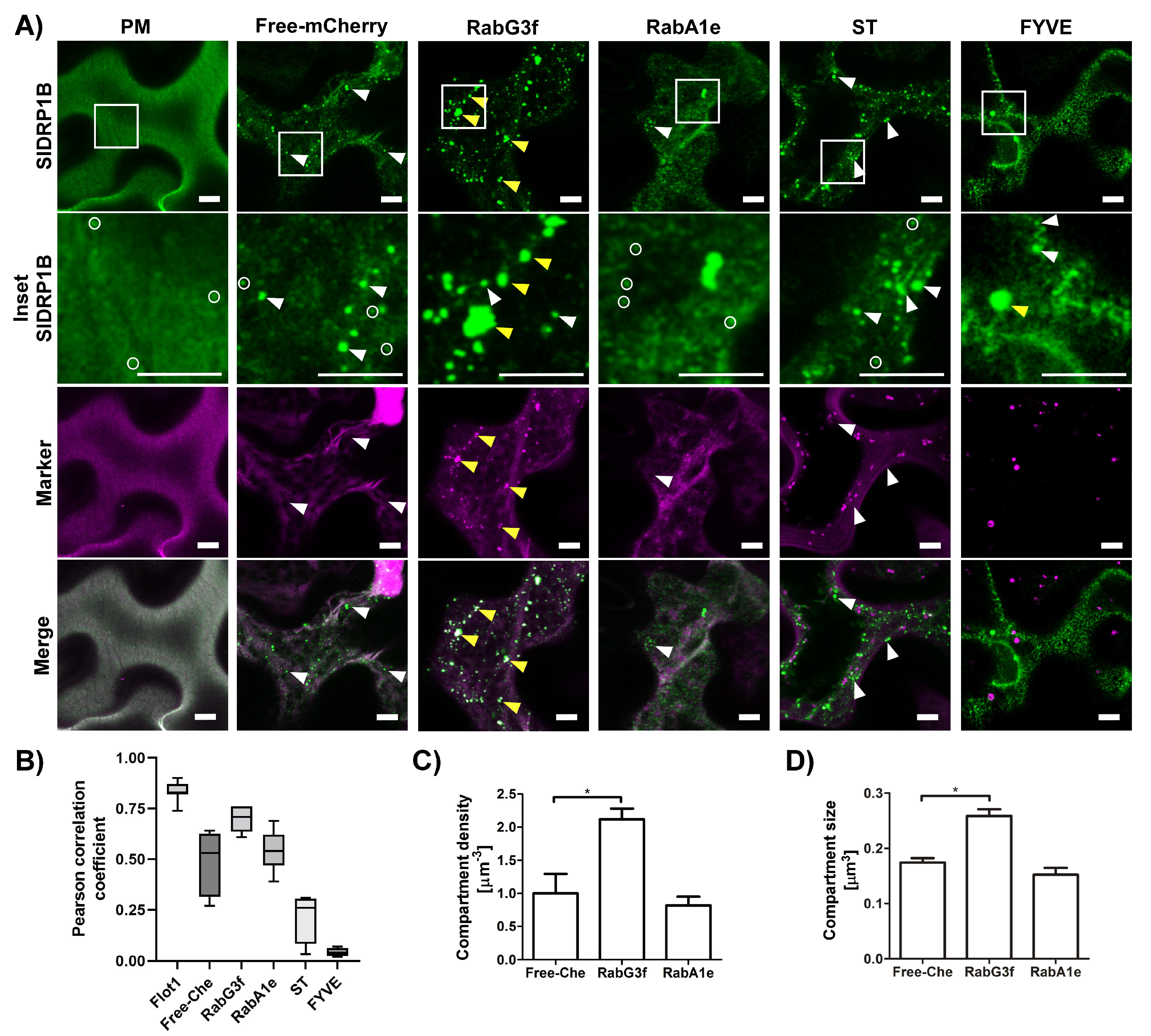 Membranes 12 00760 g002