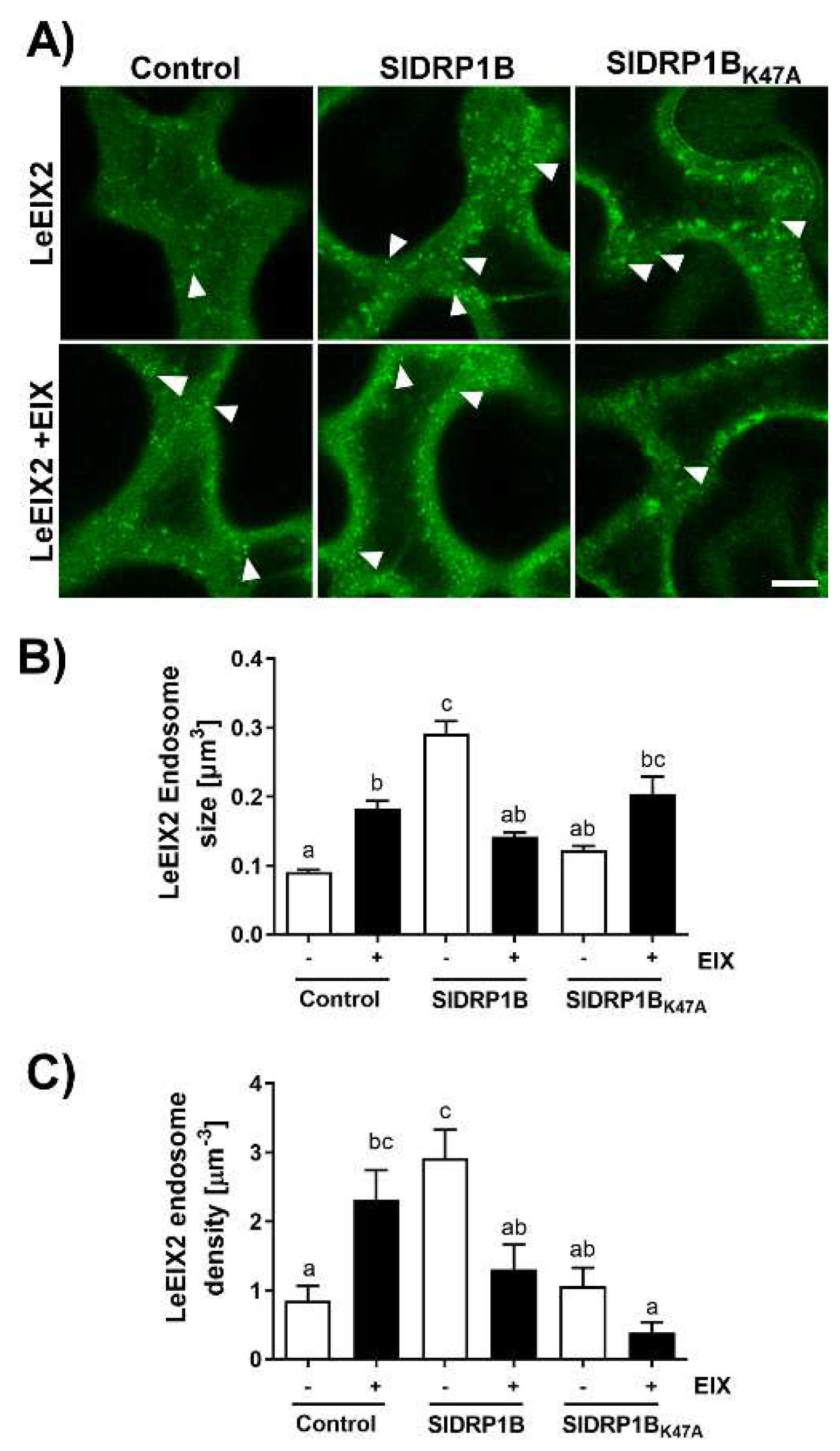 Membranes 12 00760 g005