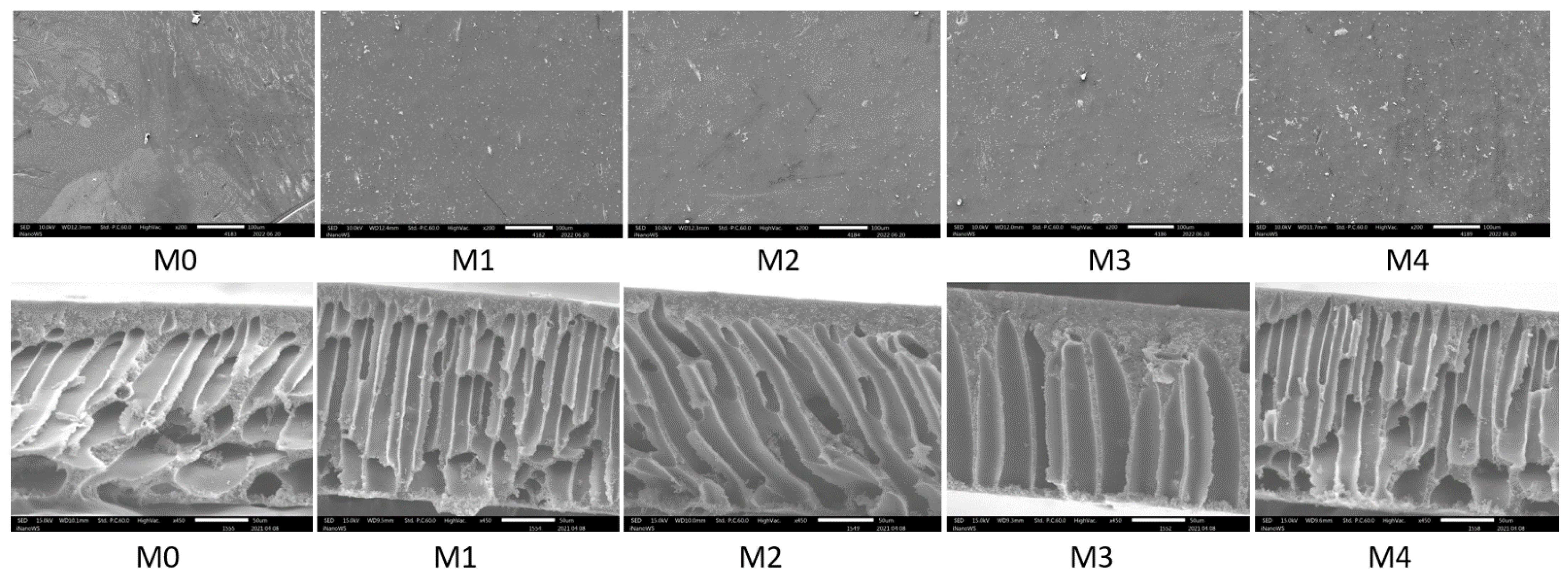 Membranes 12 00762 g005