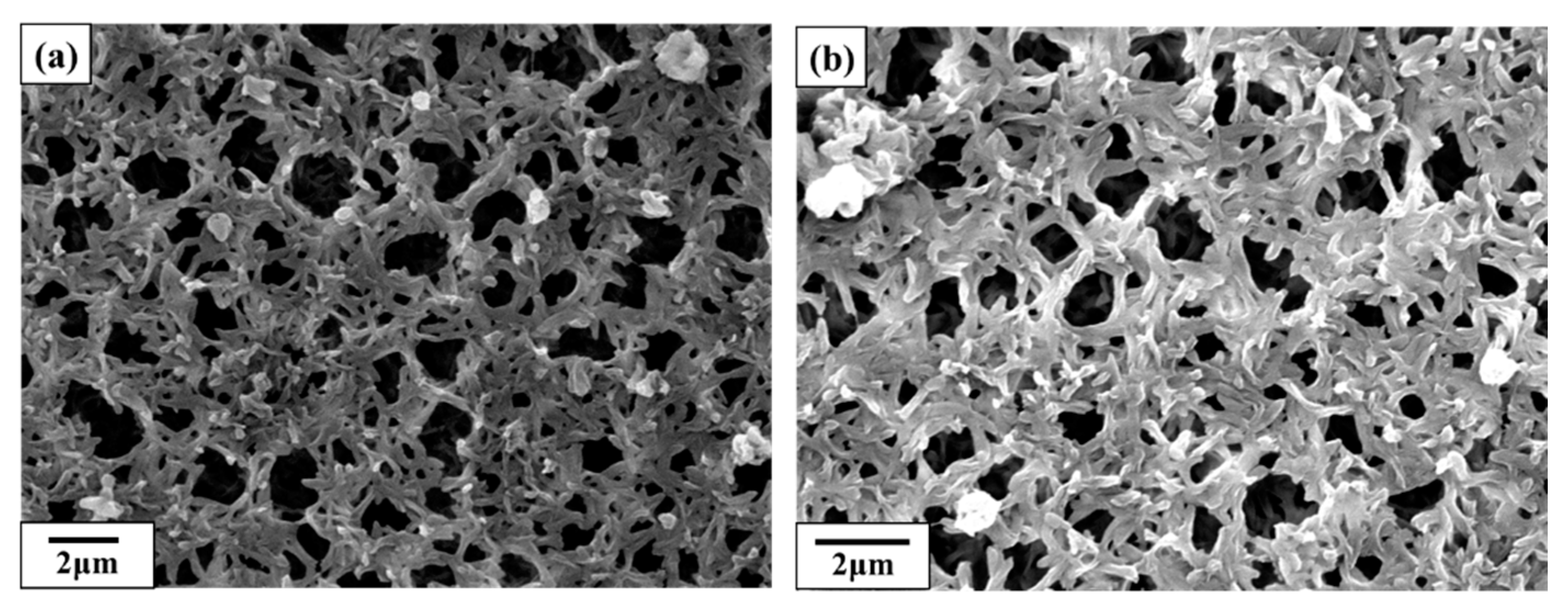 Membranes 12 00764 g002