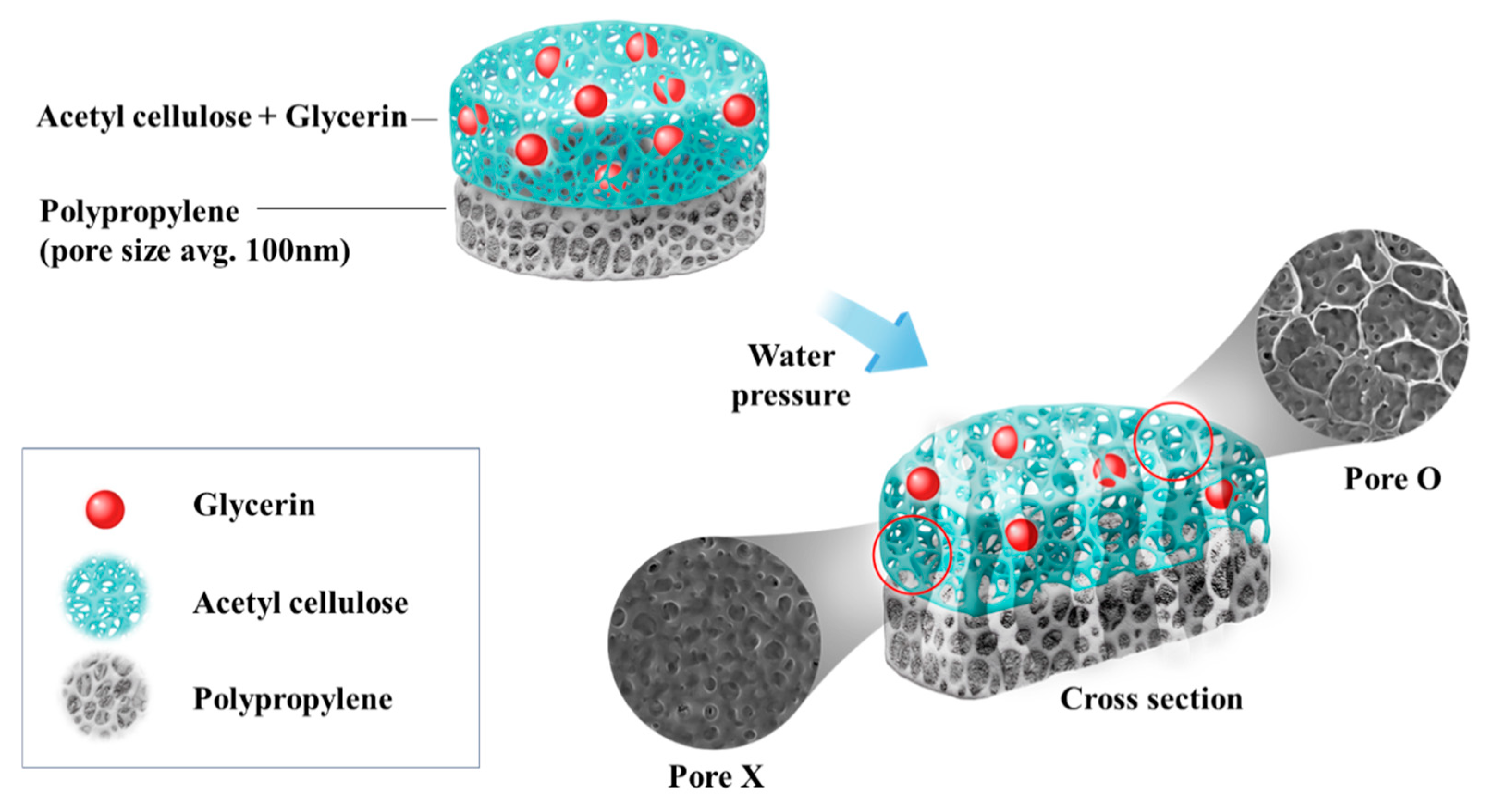 Membranes 12 00764 sch002