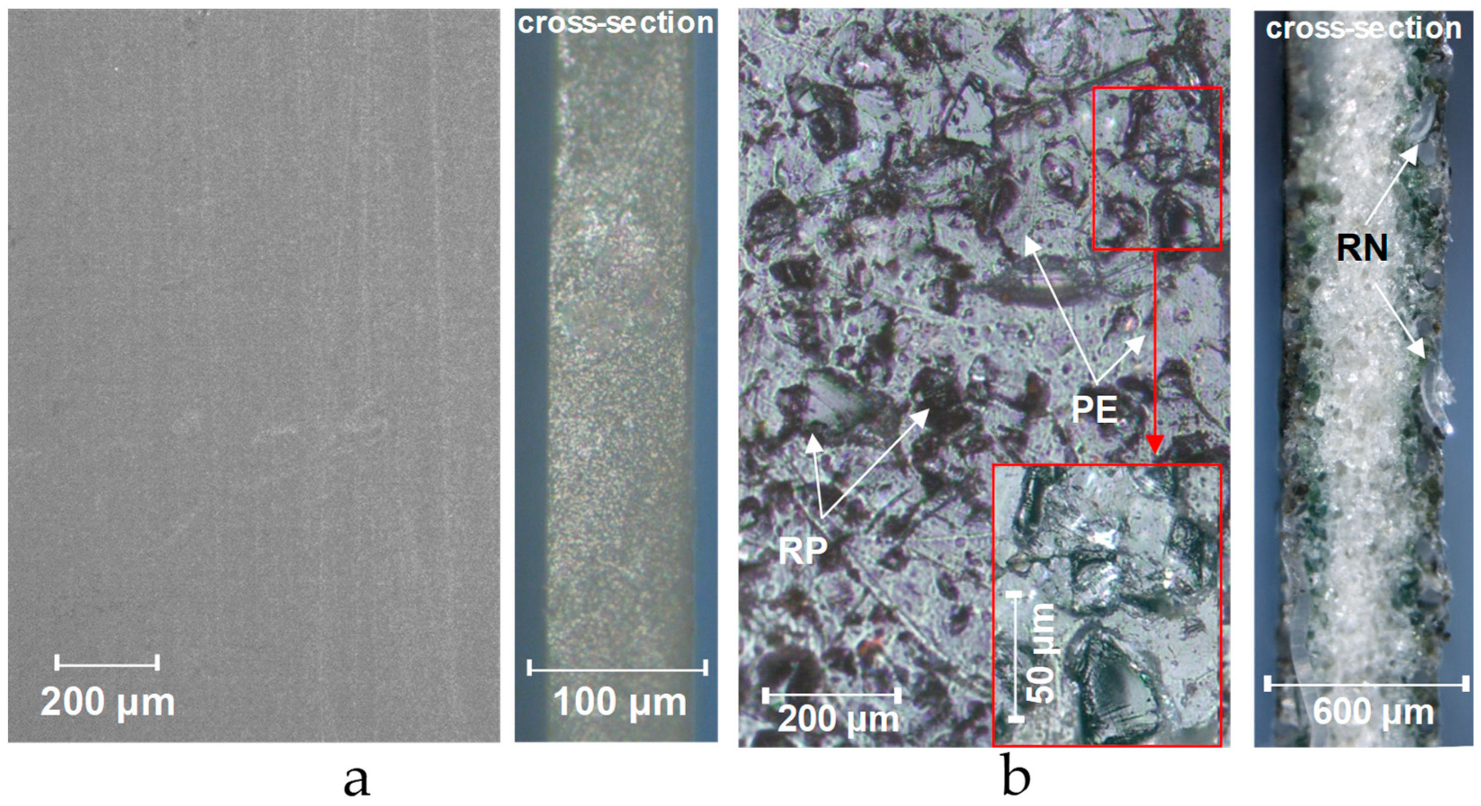 Membranes 12 00765 g009 550