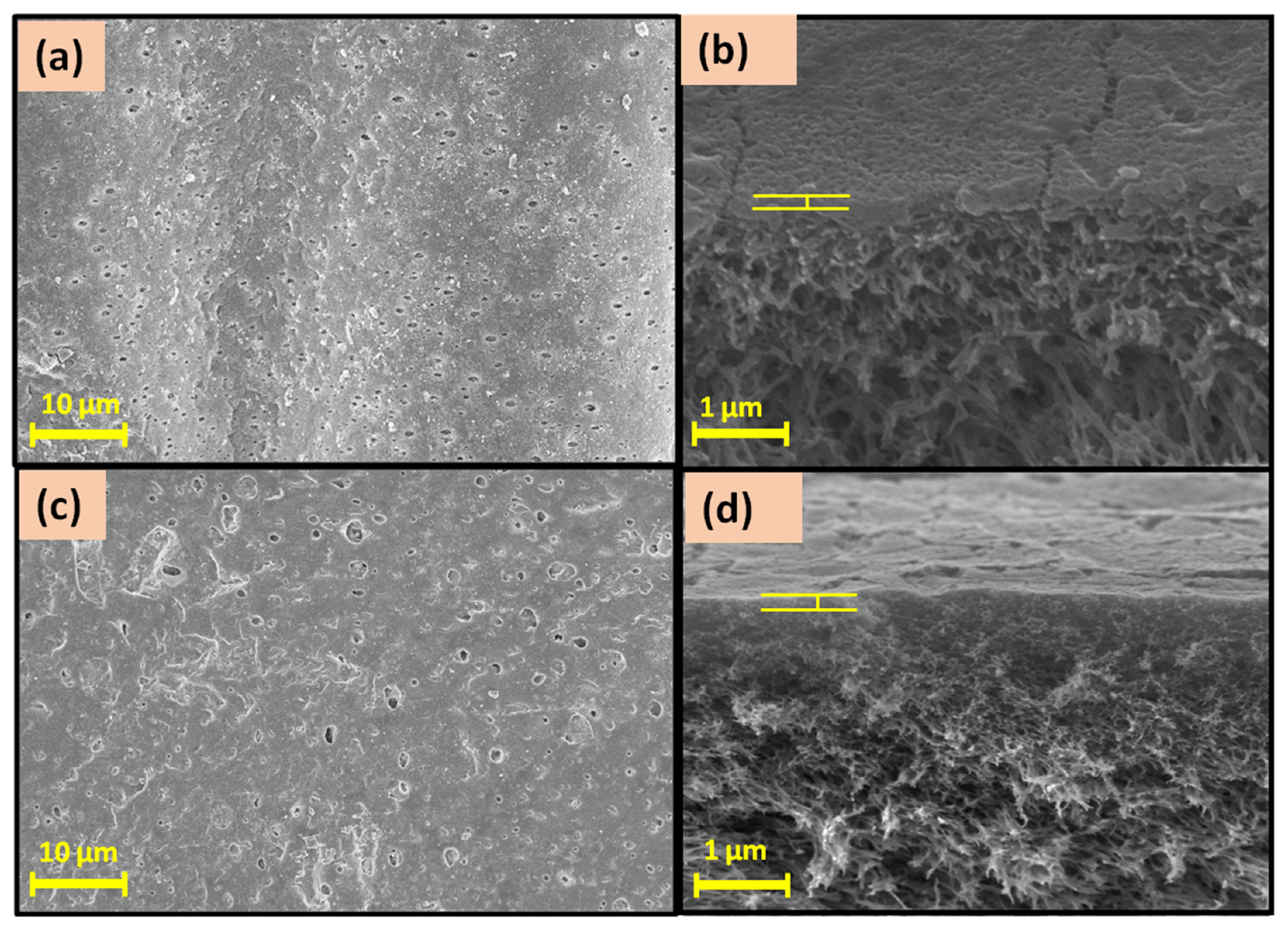 Membranes 12 00768 g004