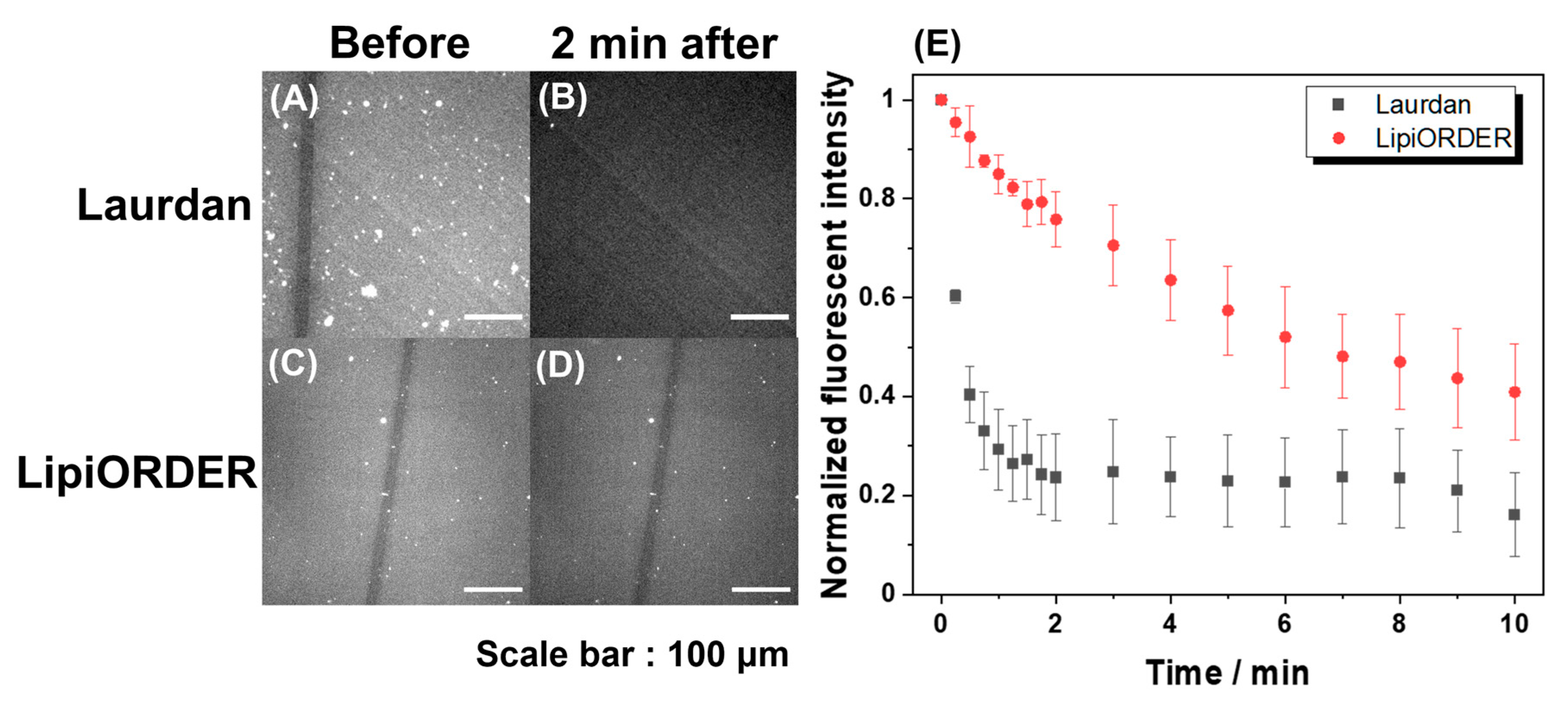 Membranes 12 00770 g003 550