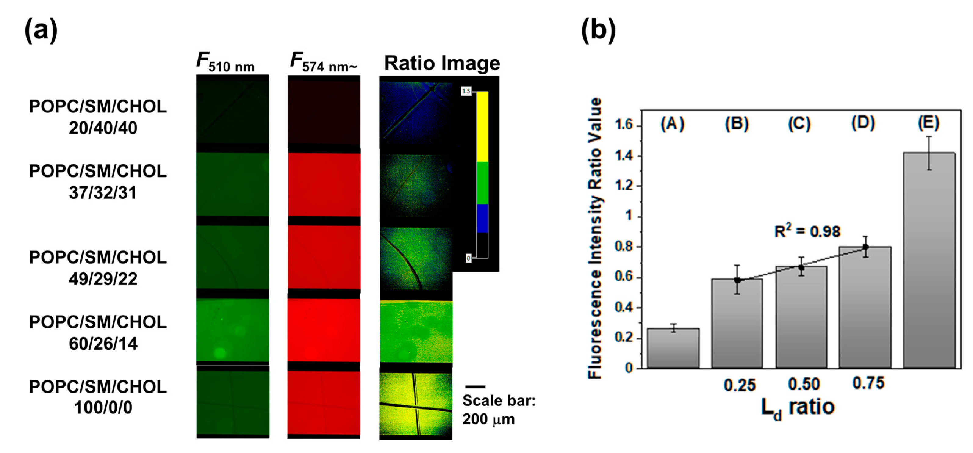Membranes 12 00770 g004 550