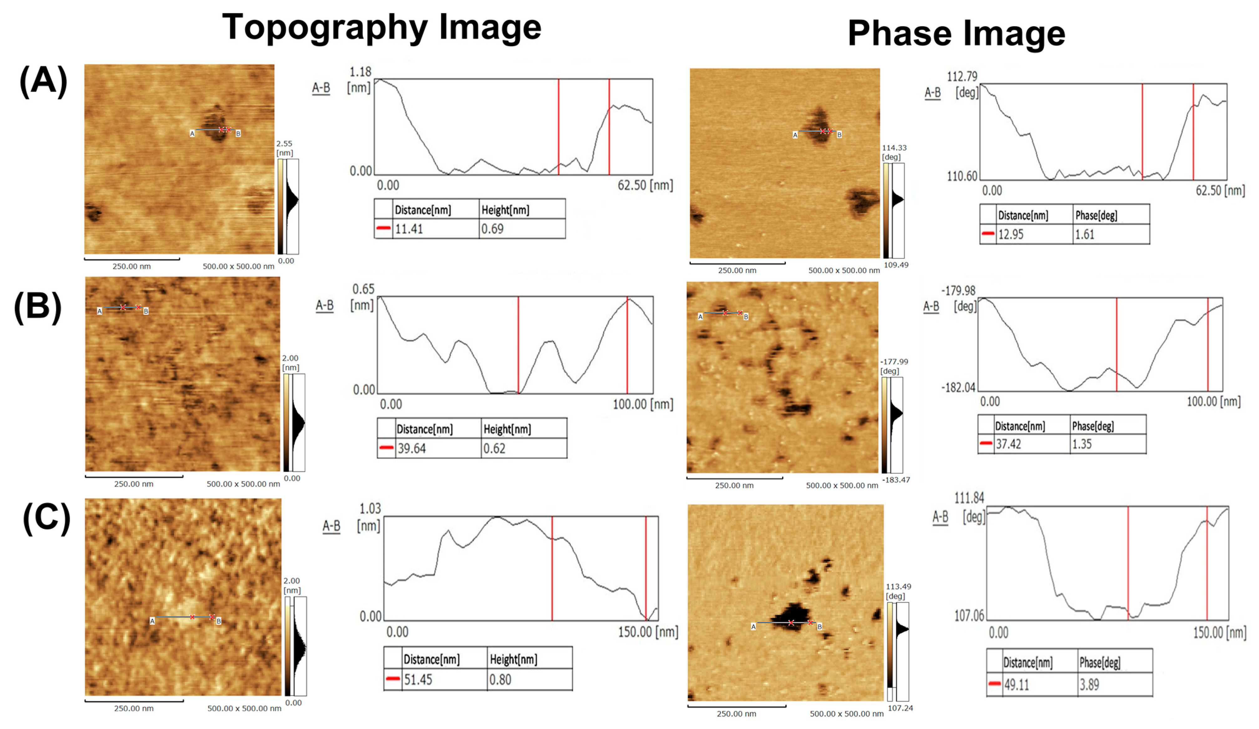Membranes 12 00770 g005 550