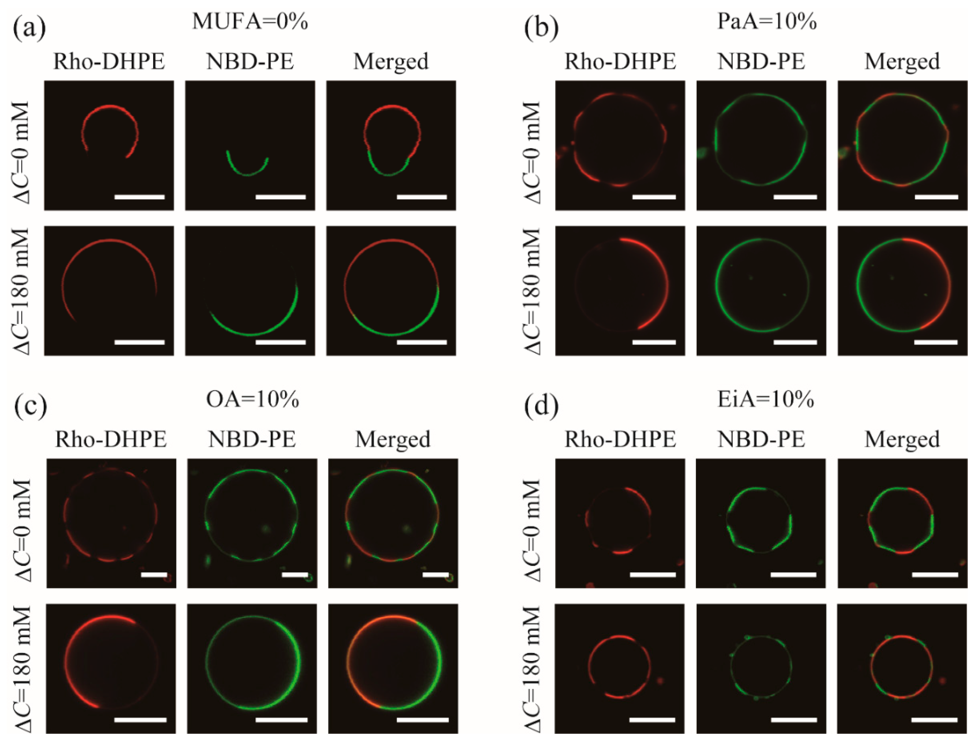 Membranes 12 00781 g003 550