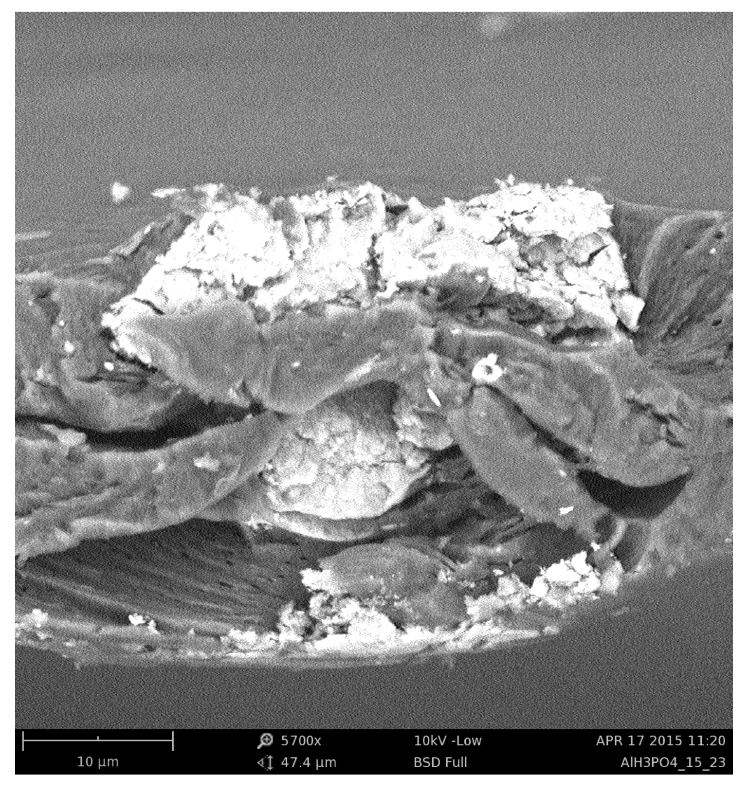 Membranes 12 00788 g001 550