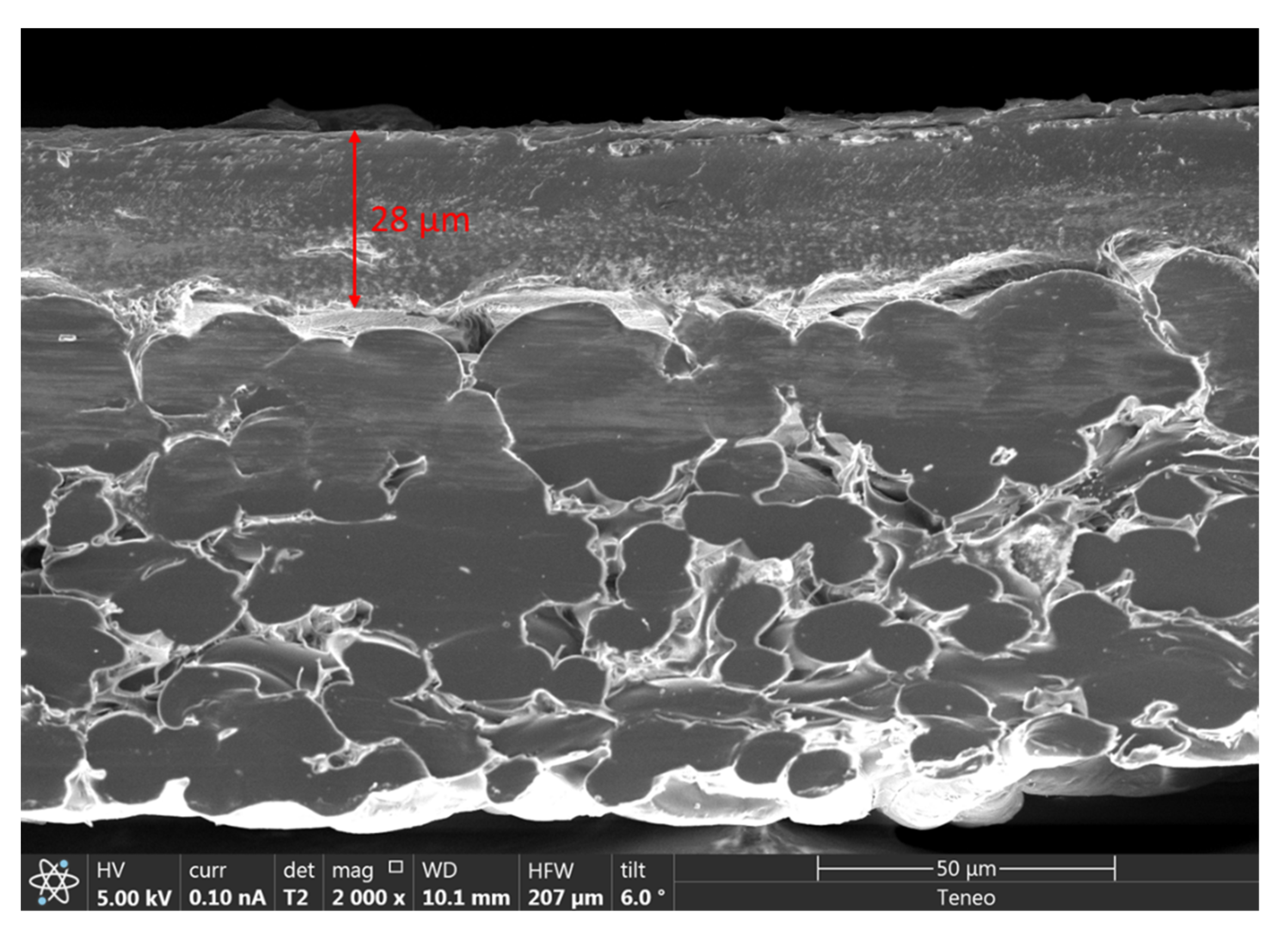 Membranes 12 00792 g008