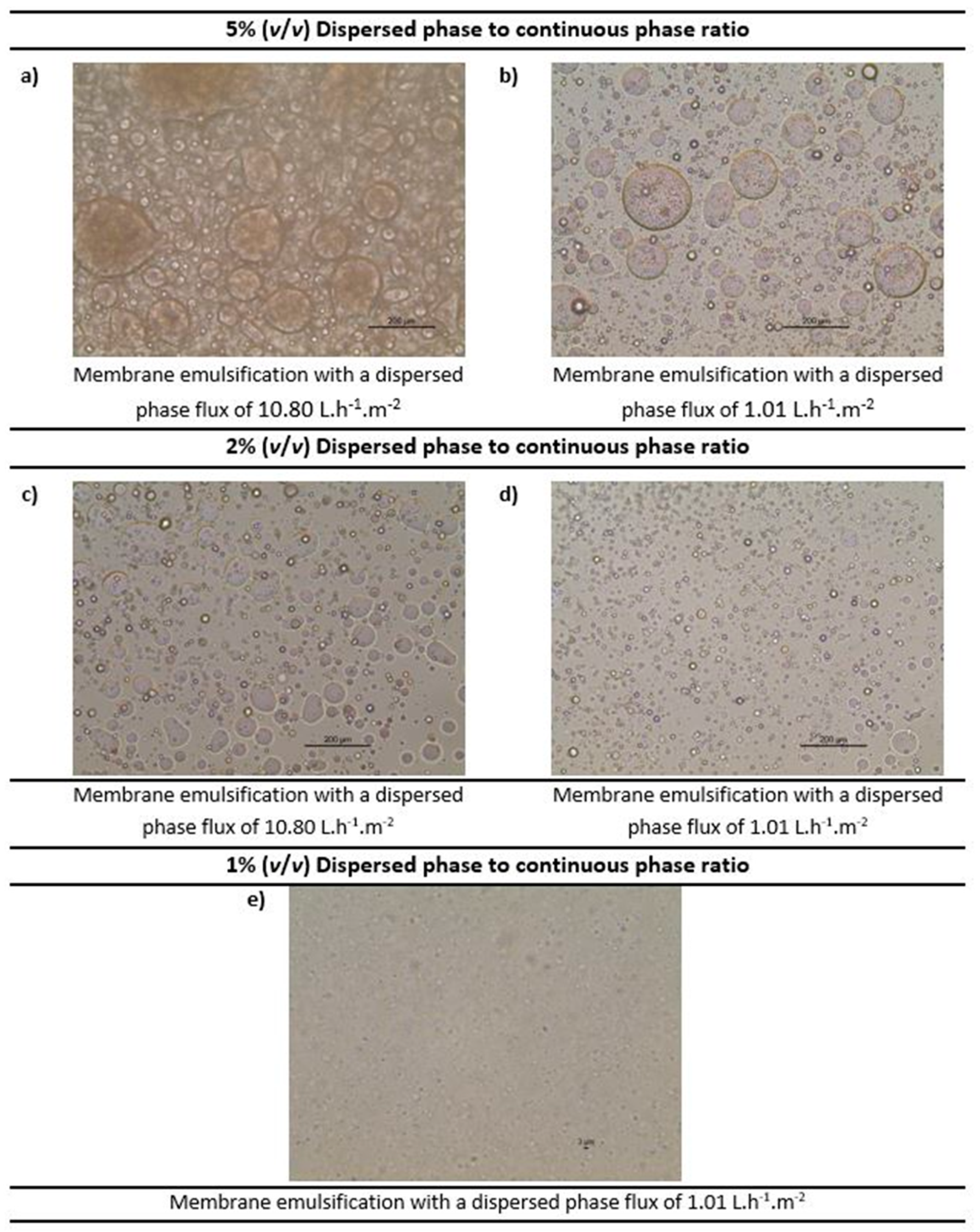 Membranes 12 00797 g007 550