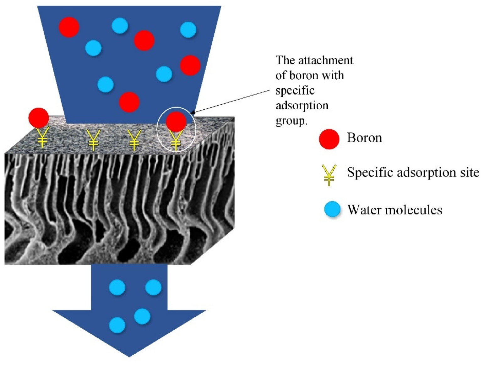 Membranes 12 00798 g006