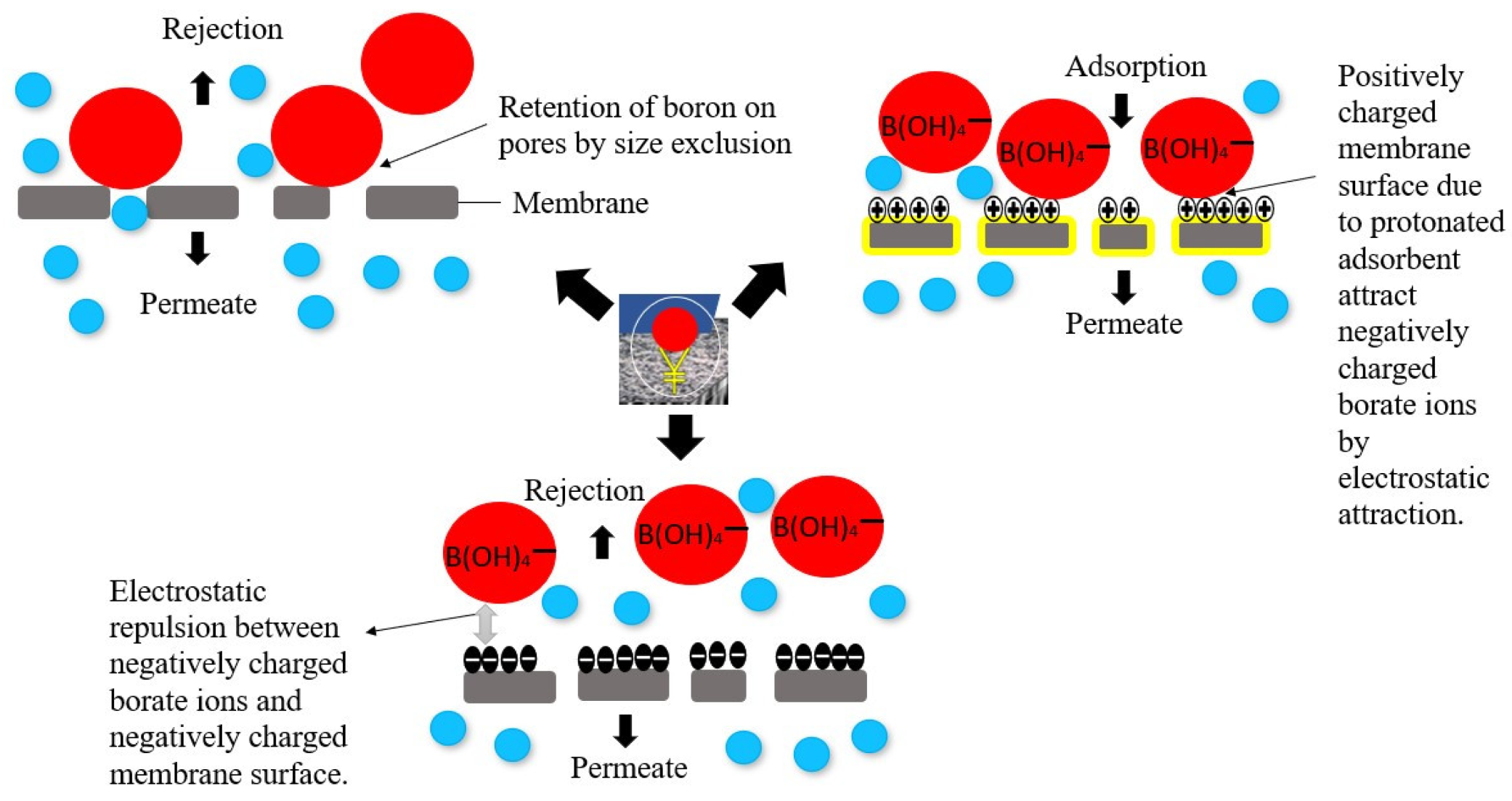 Membranes 12 00798 g009