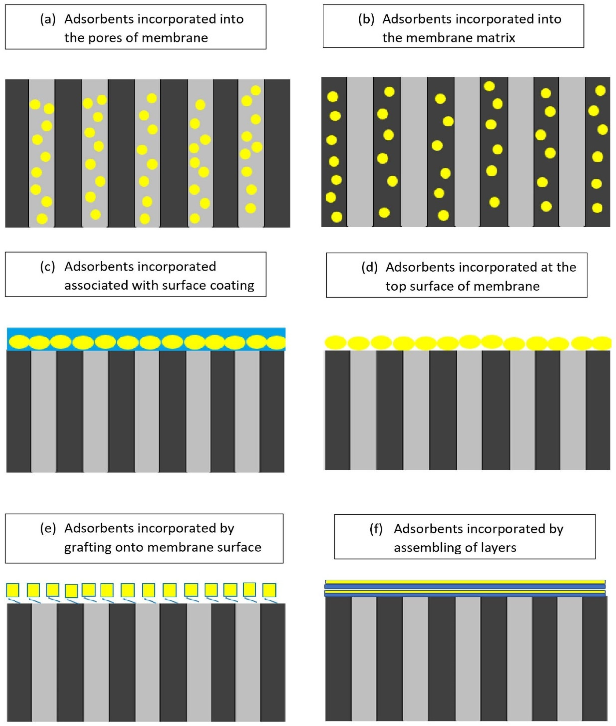 Membranes 12 00798 g010