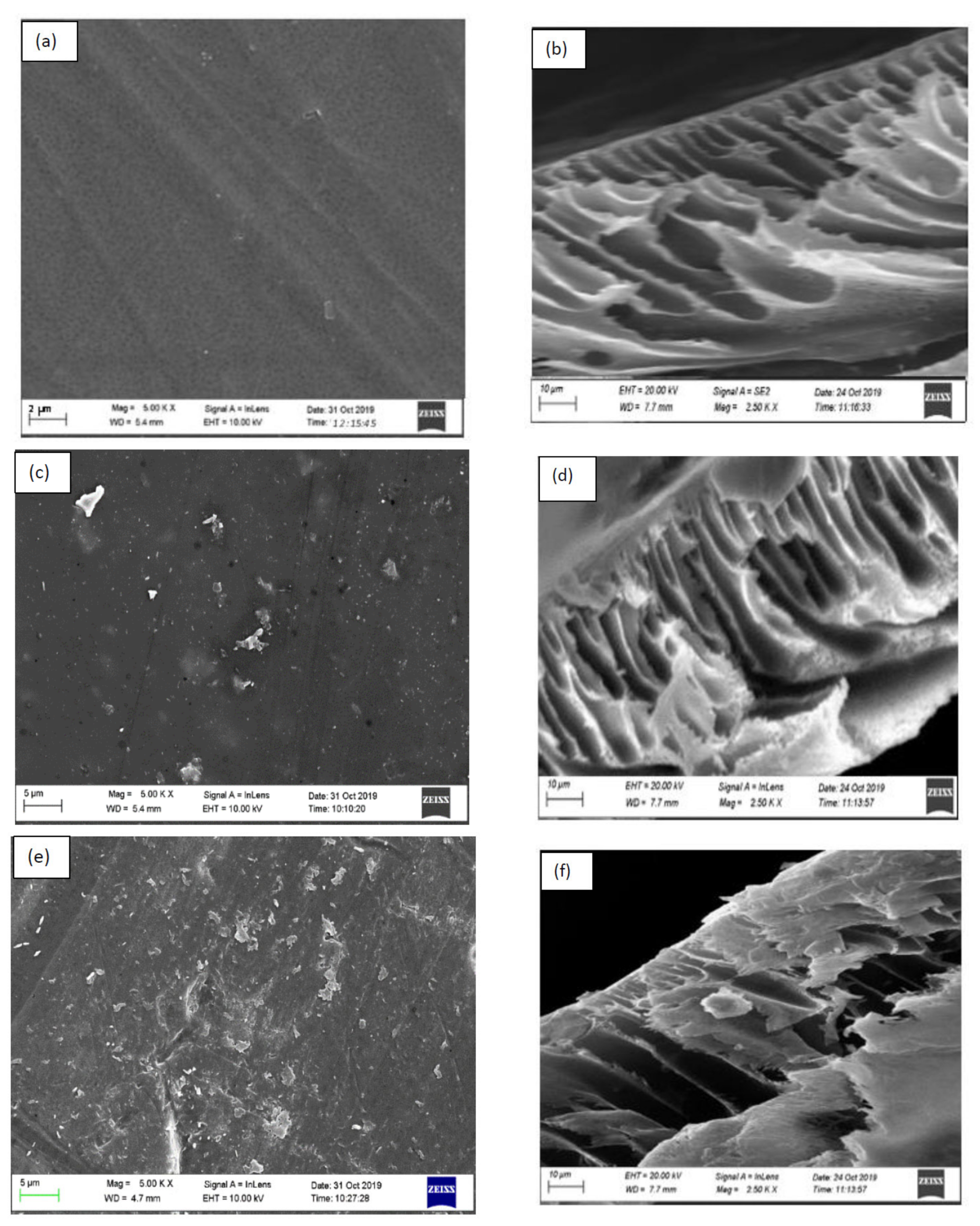 Membranes 12 00800 g004