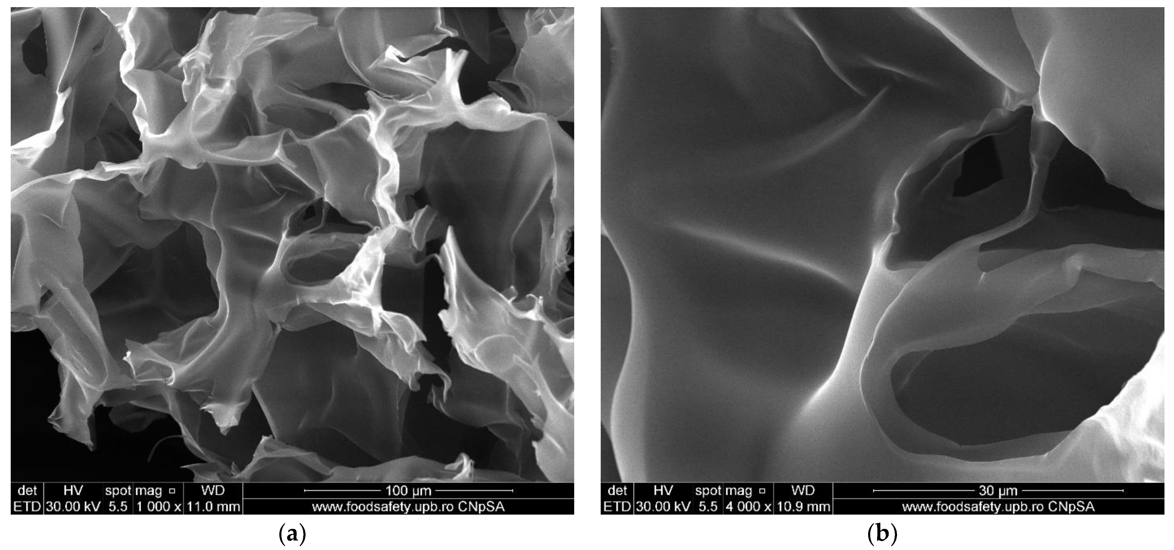 Membranes 12 00804 g008
