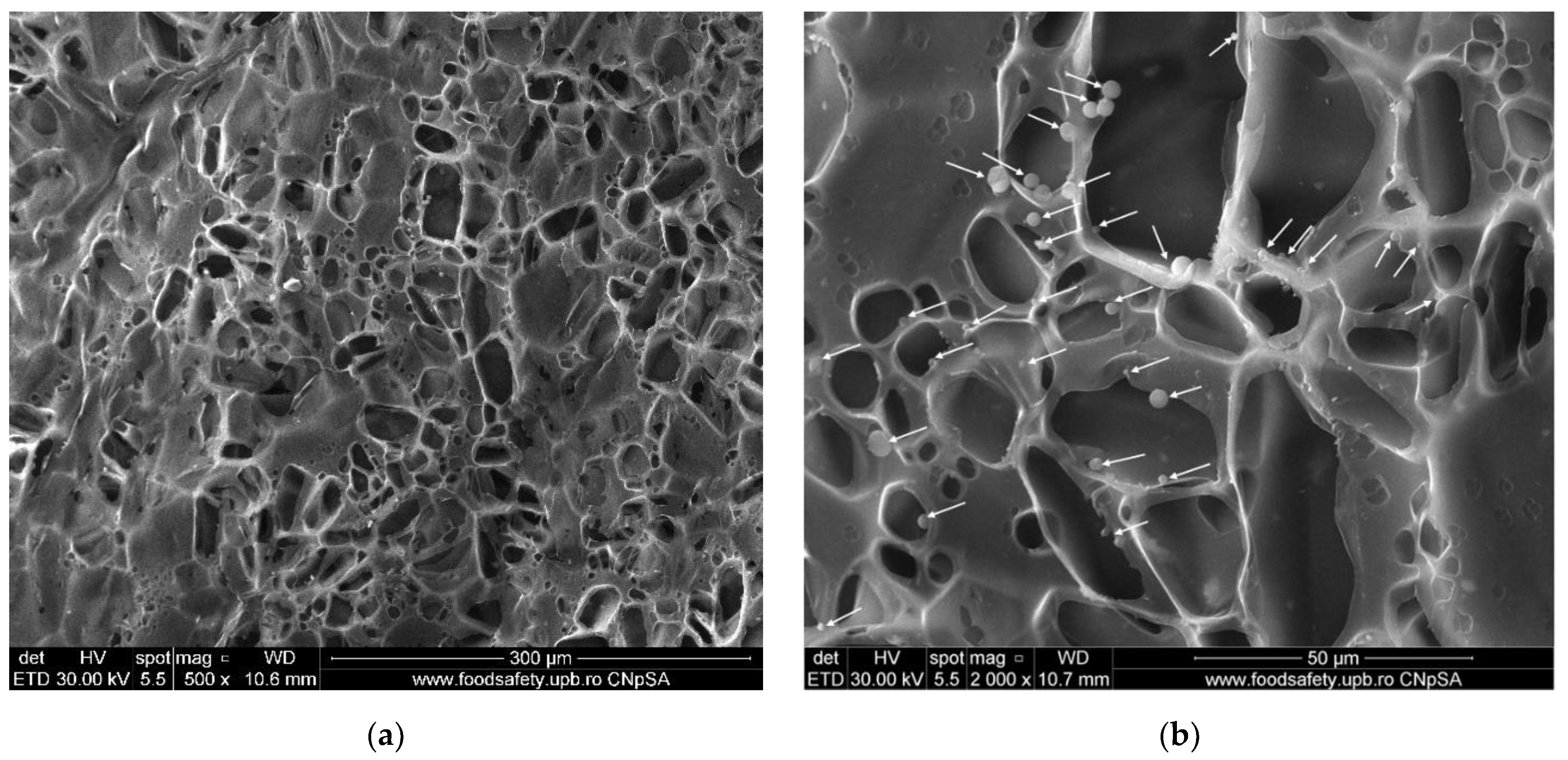 Membranes 12 00804 g009a
