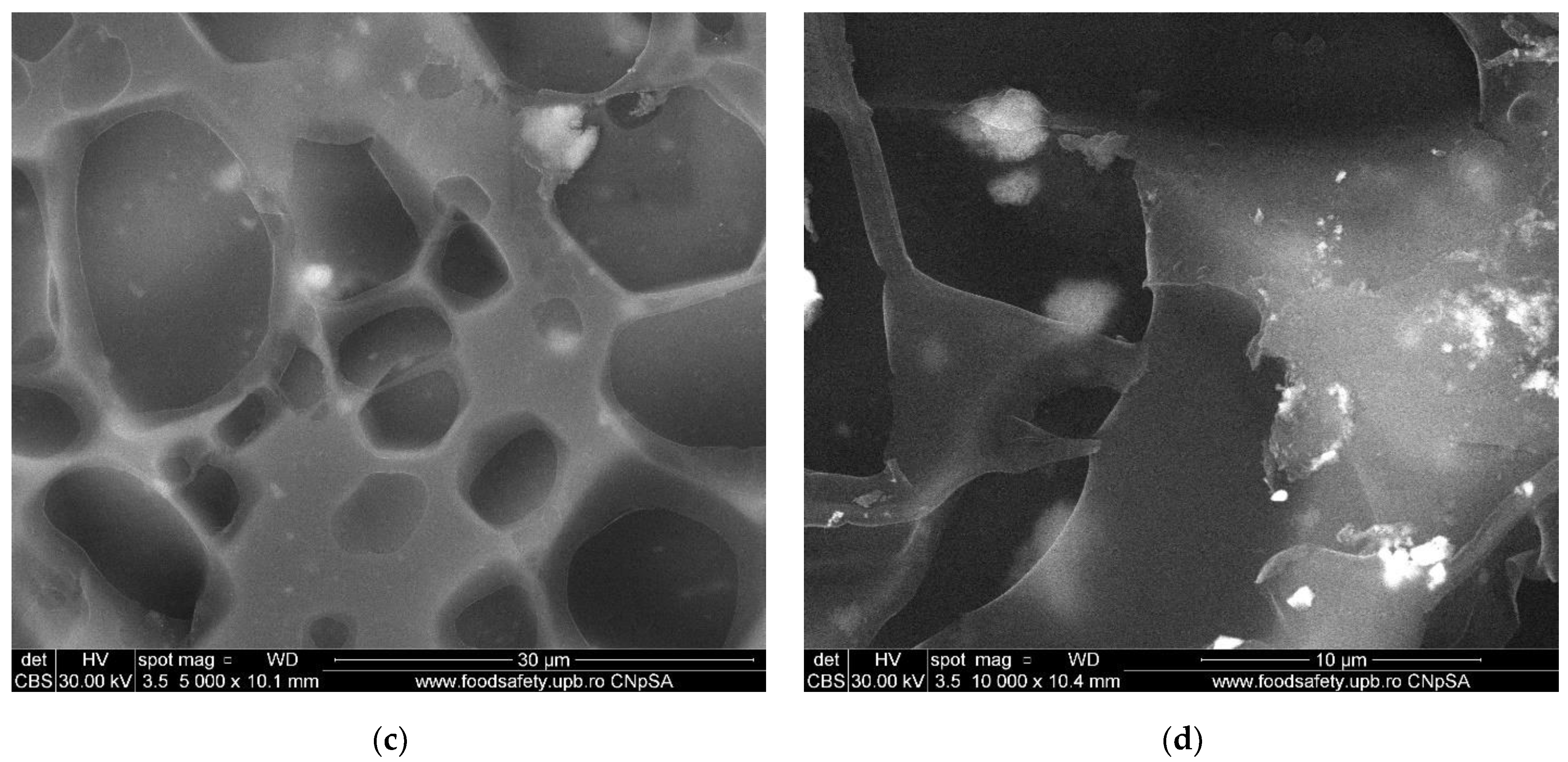 Membranes 12 00804 g009b