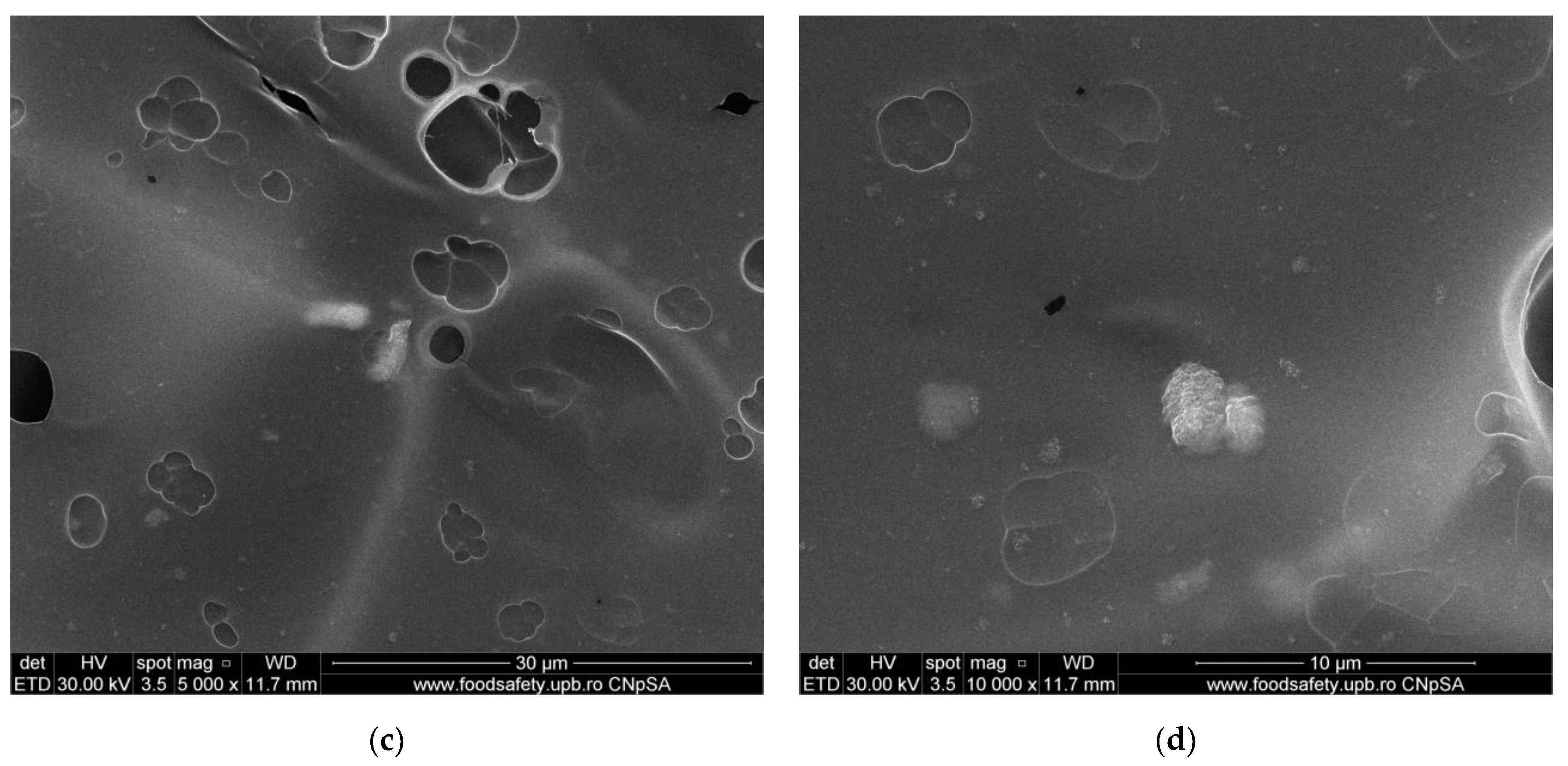 Membranes 12 00804 g010b