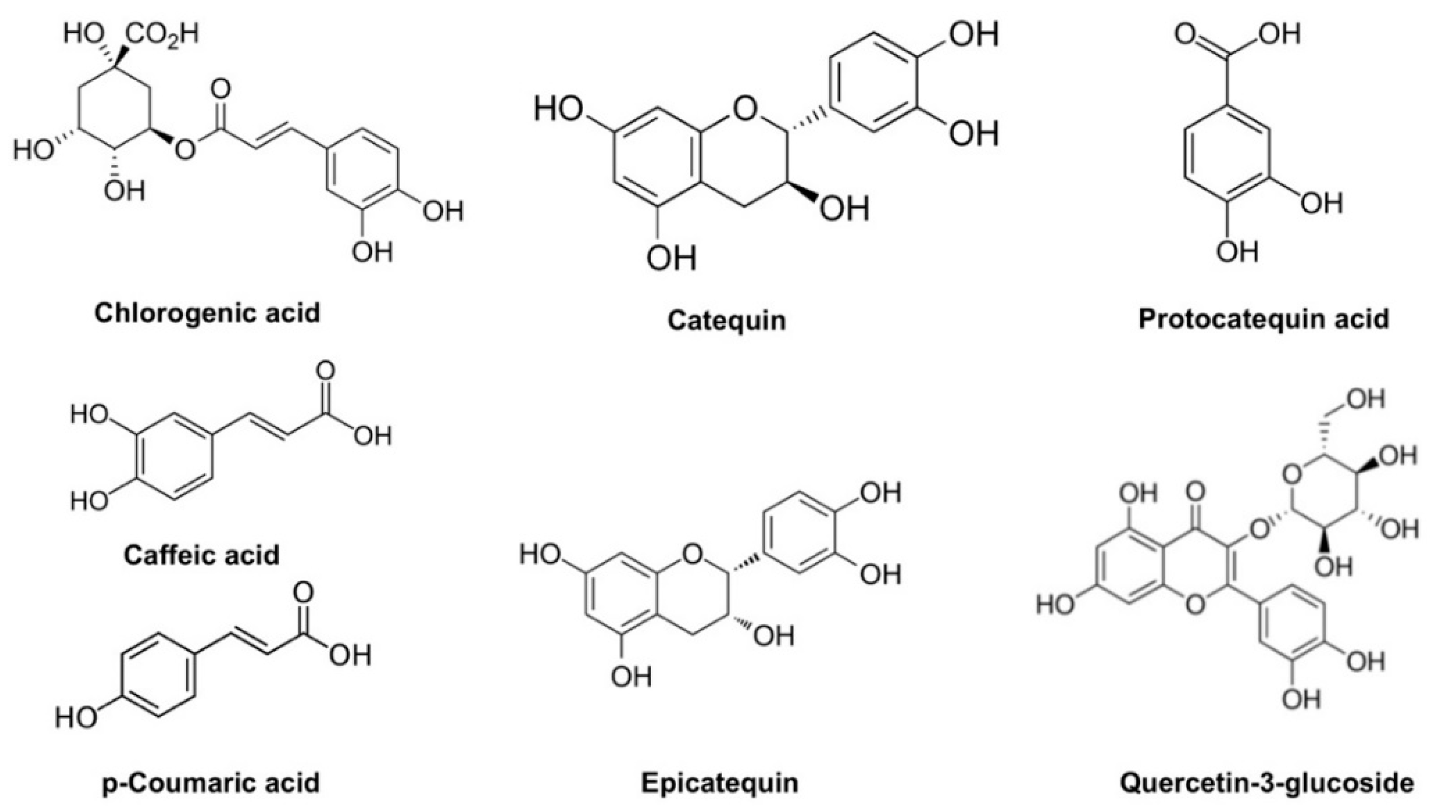 Membranes 12 00806 g004