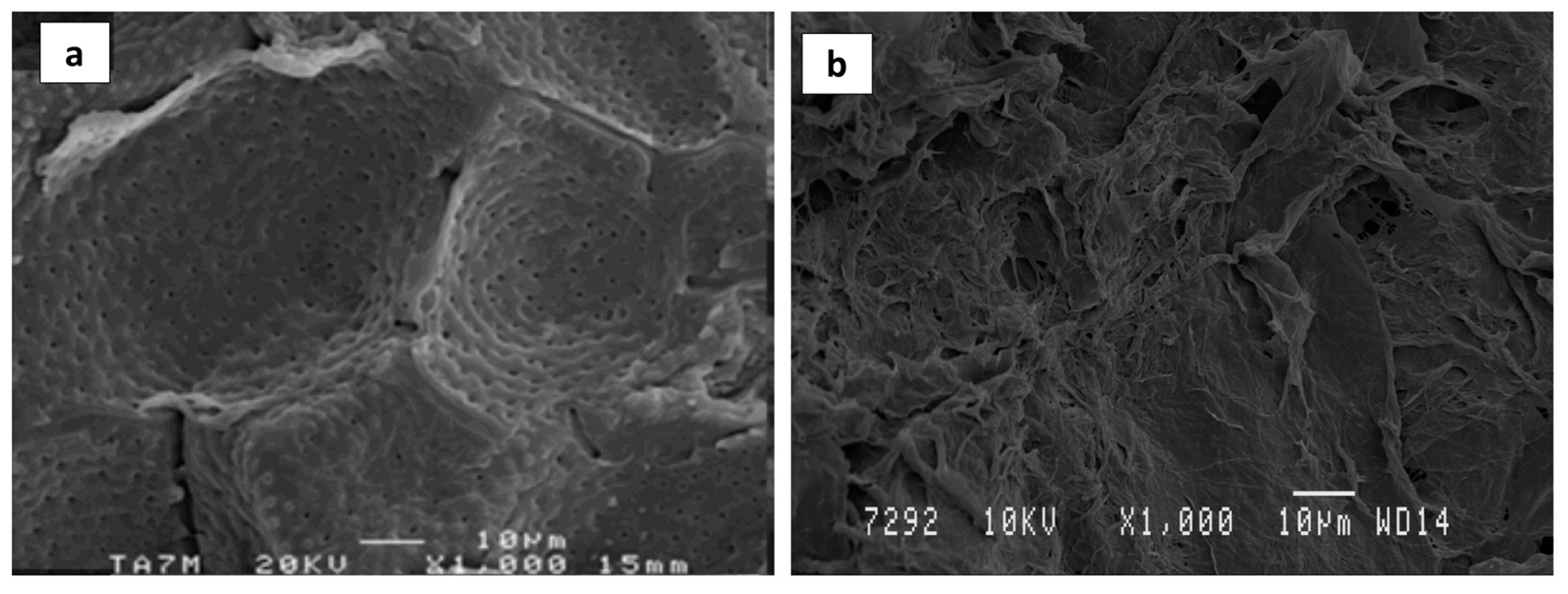 Membranes 12 00806 g005