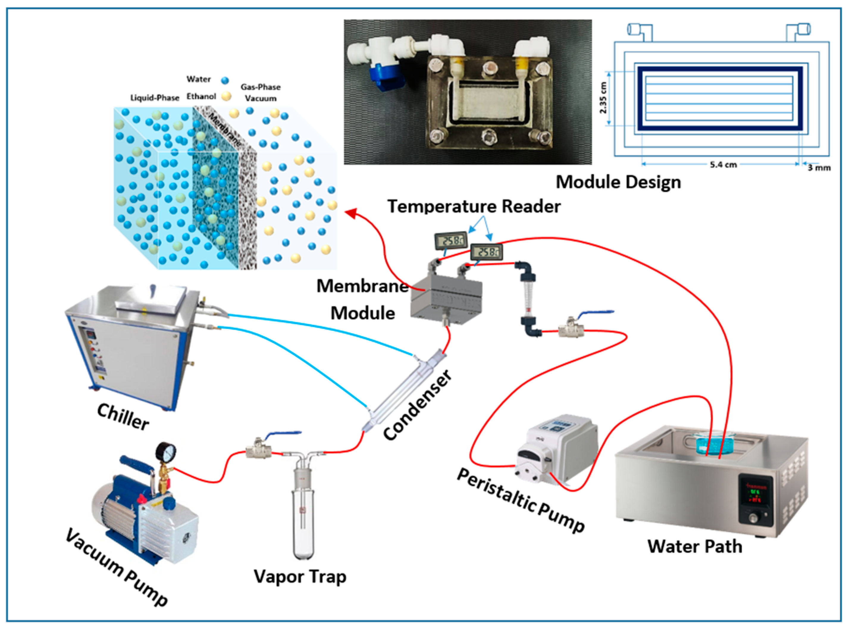 Membranes 12 00807 g001