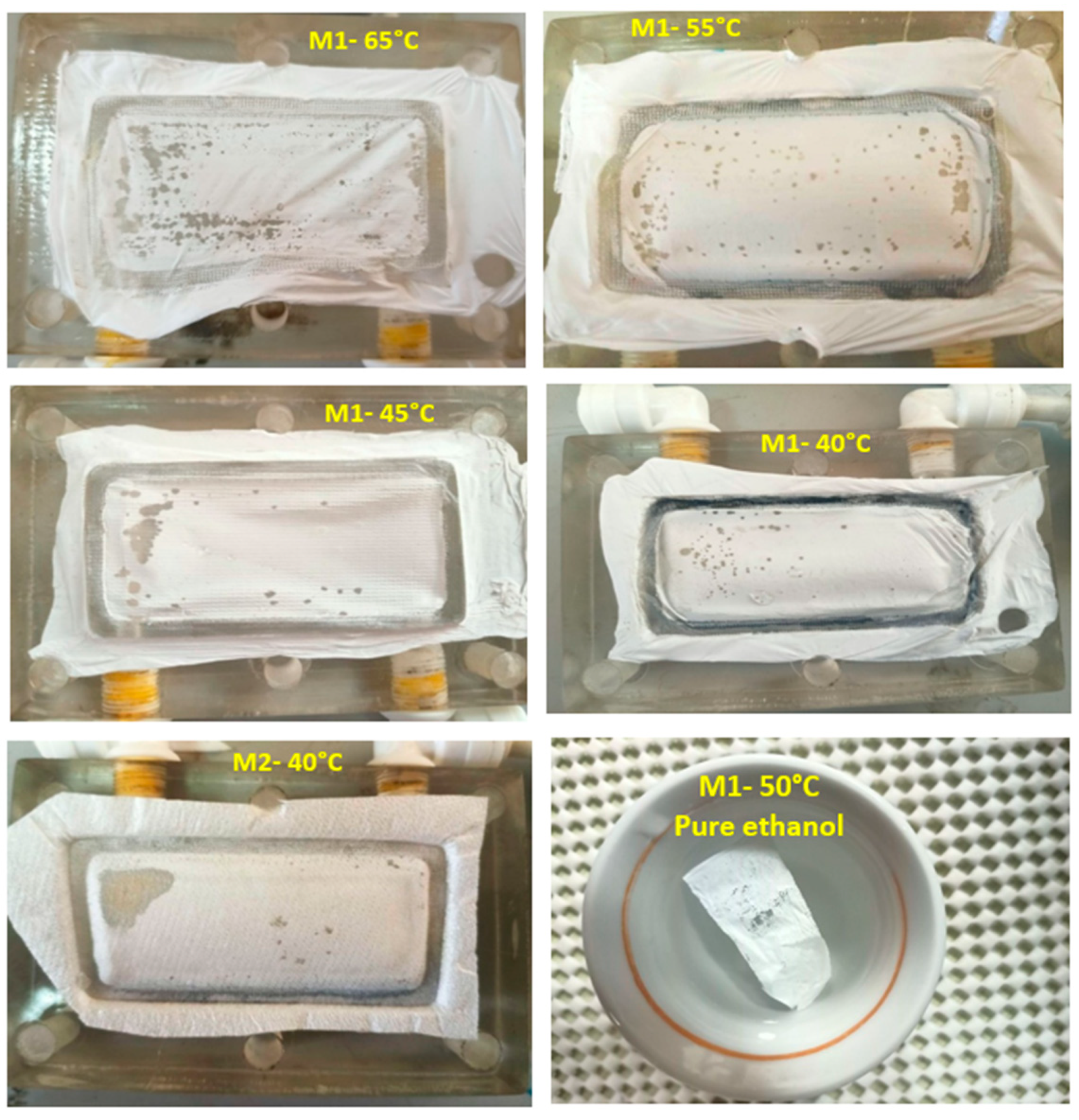 Membranes 12 00807 g002