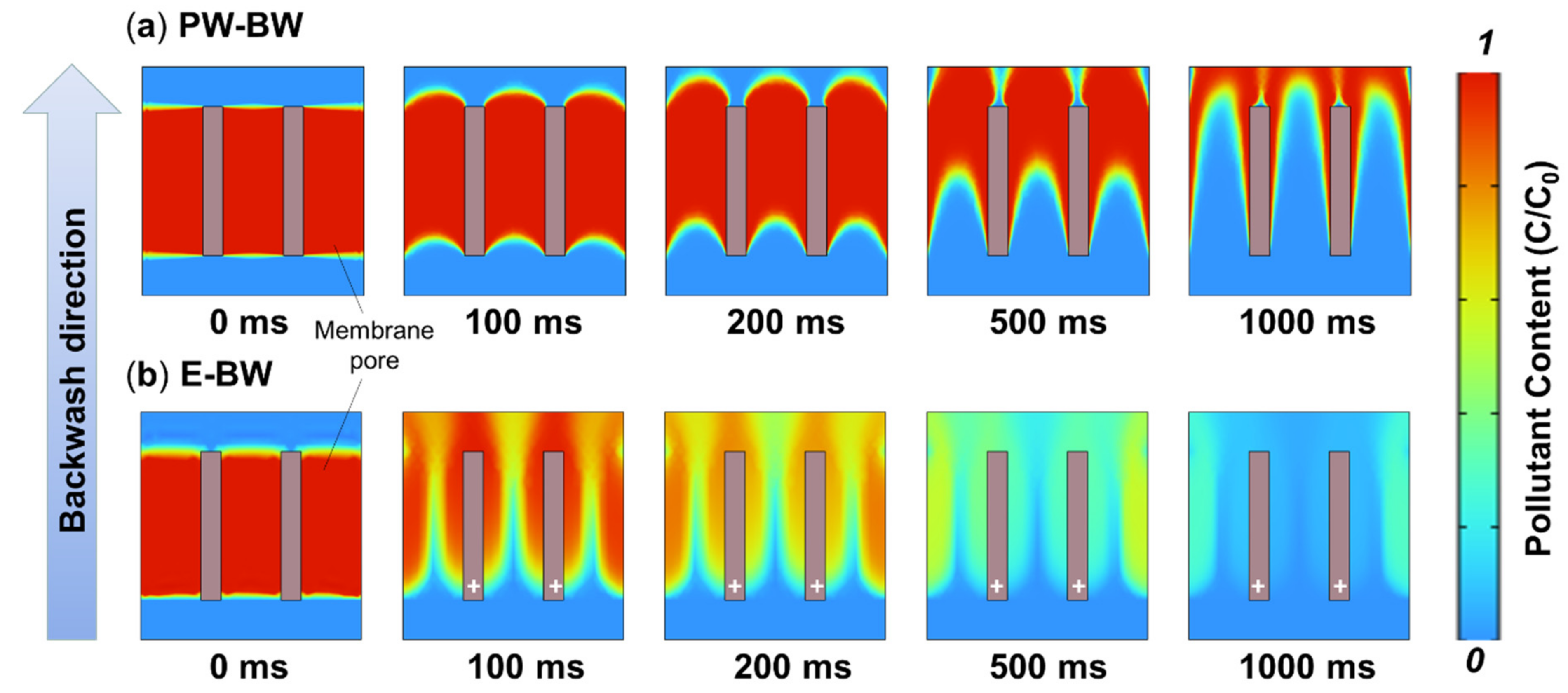 Membranes 12 00814 g006