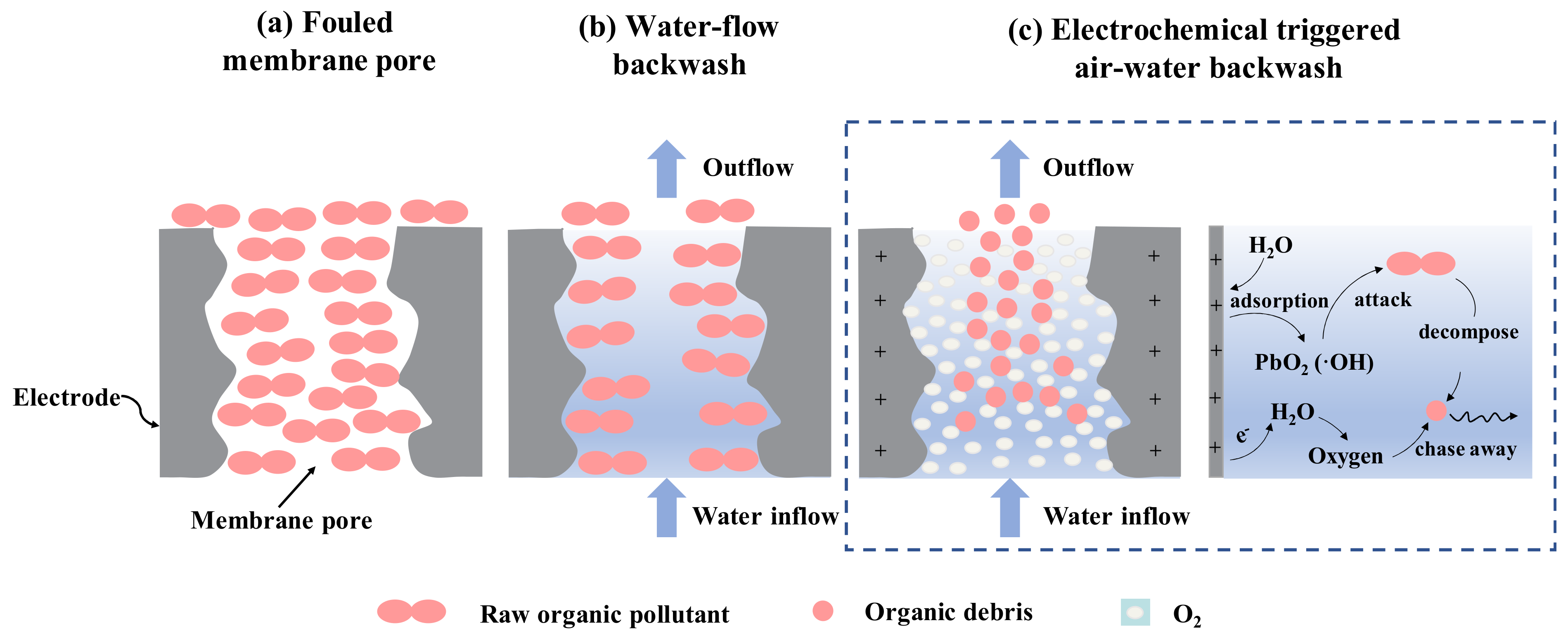 Membranes Free FullText Membrane Fouling and Electrochemical
