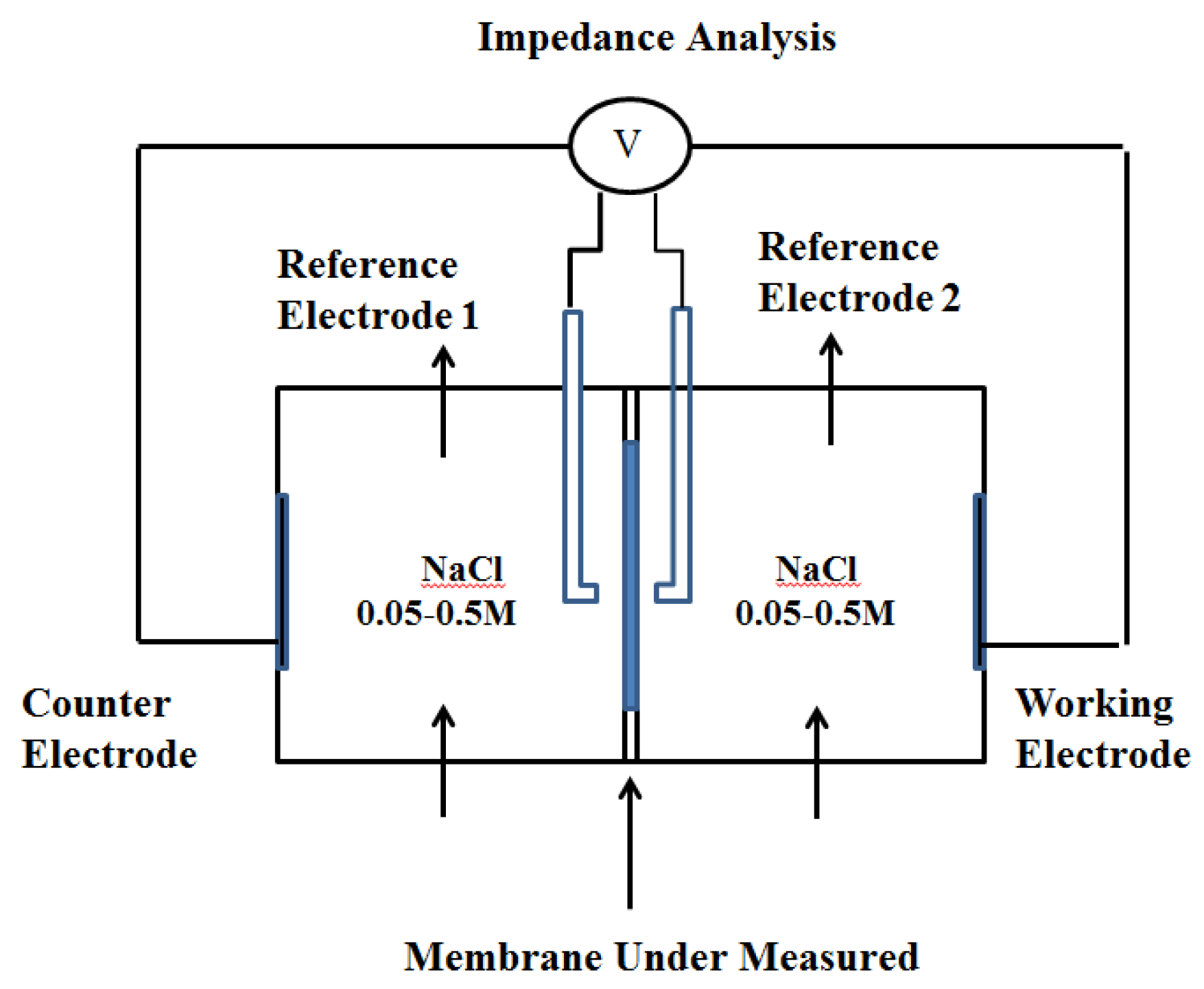 Membranes 12 00816 g001