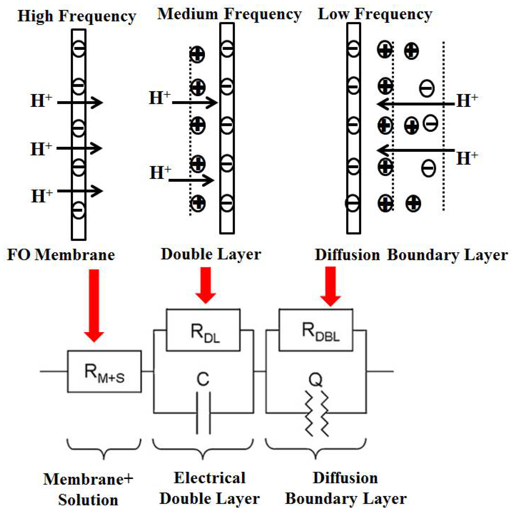 Membranes 12 00816 g002