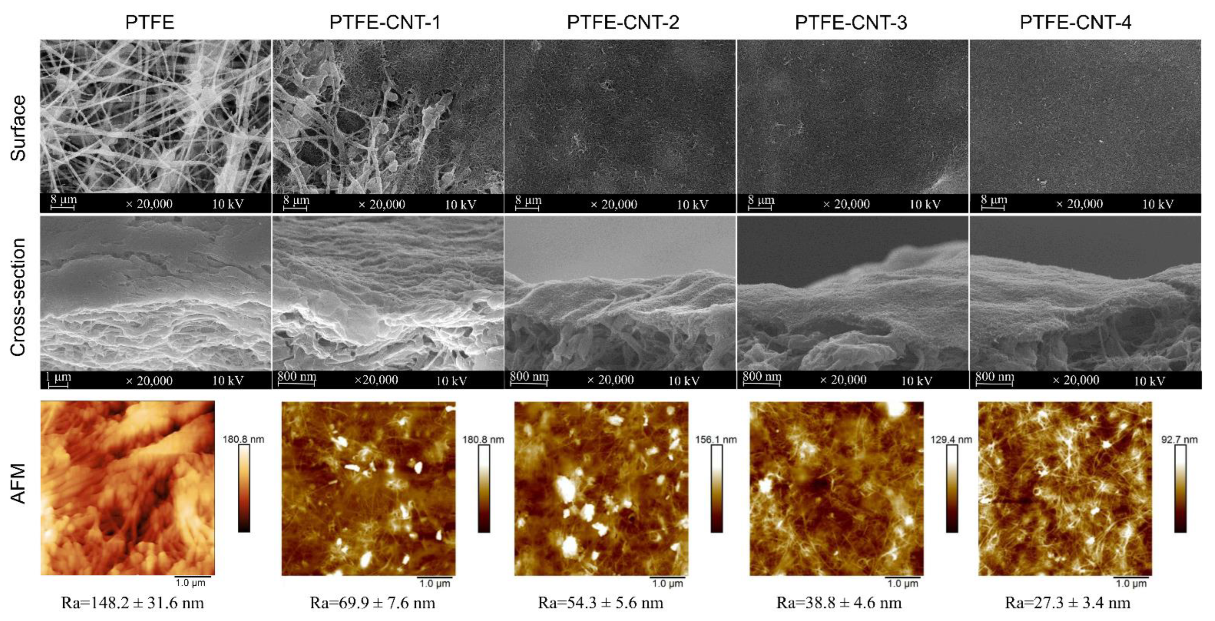 Membranes 12 00817 g003