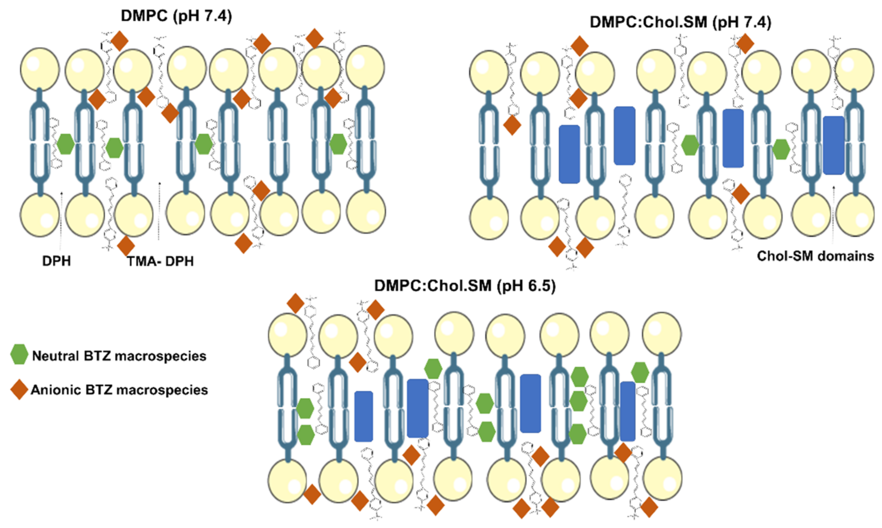 Membranes 12 00823 g004 550