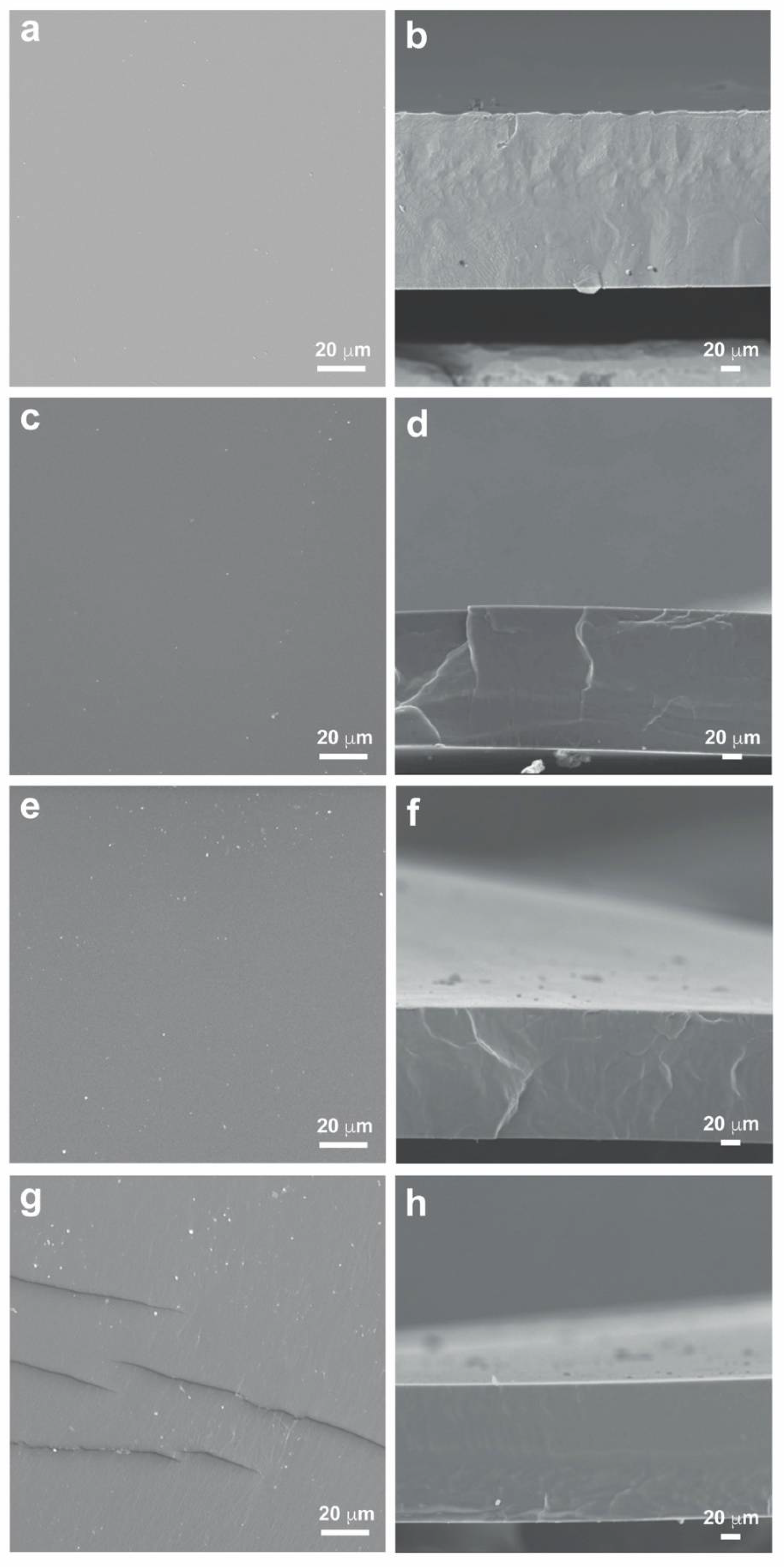 Membranes 12 00826 g003 550