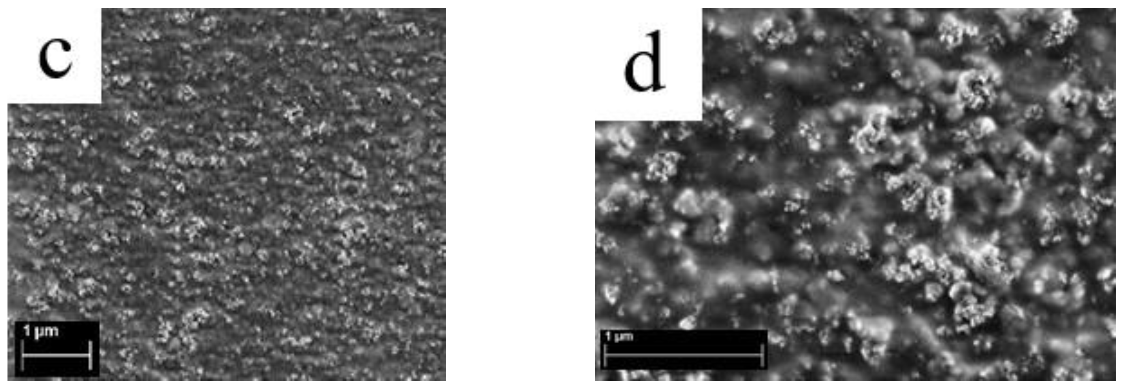 Membranes 12 00827 g003b 550