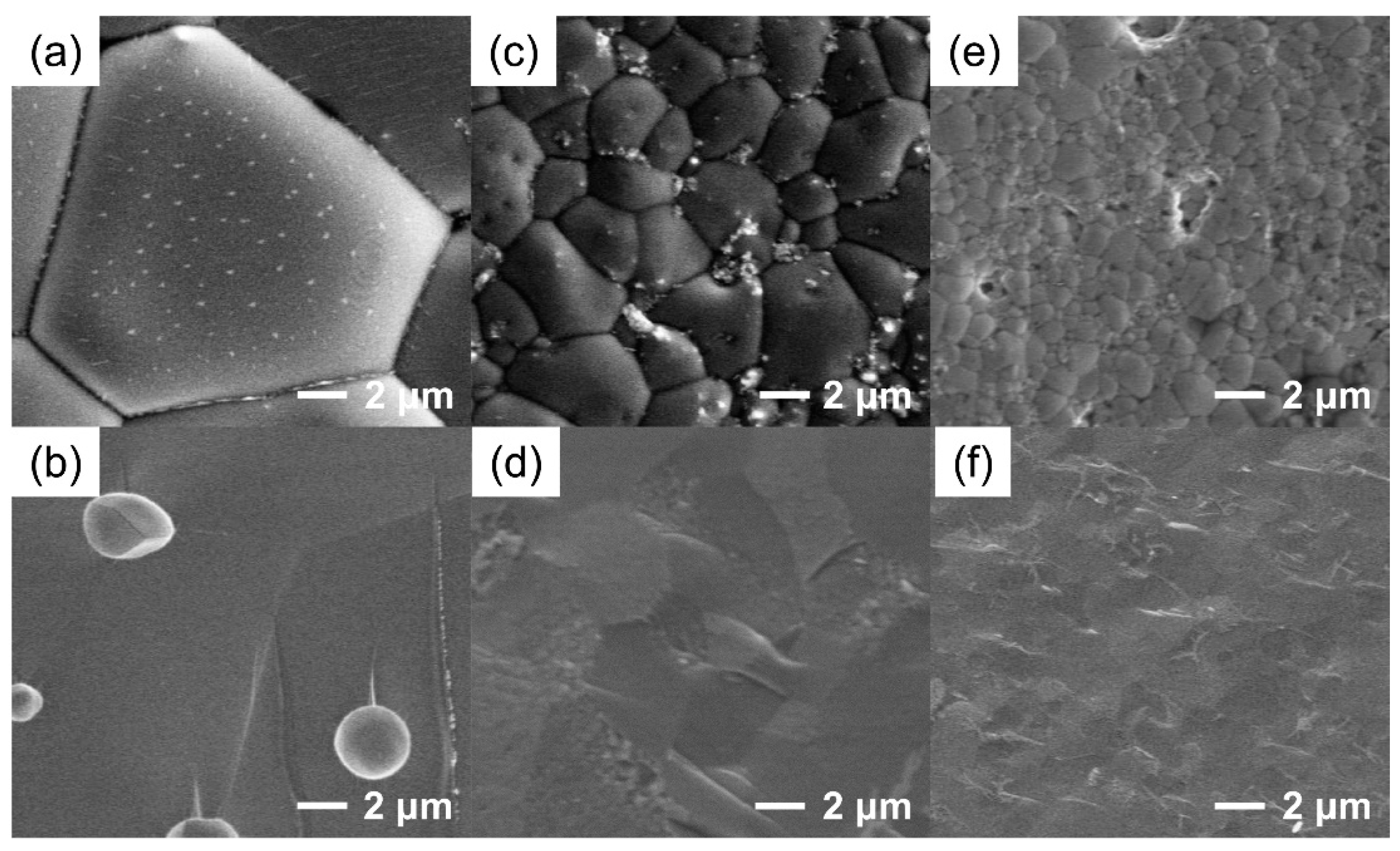 Membranes 12 00831 g002
