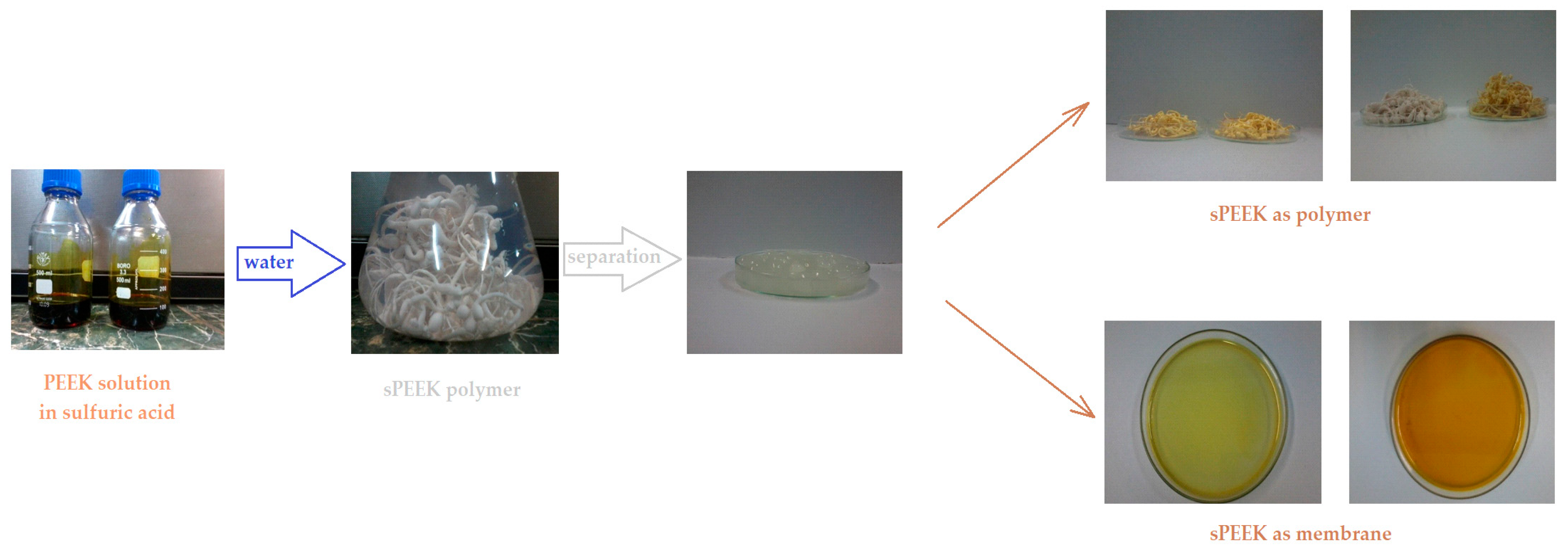 Membranes 12 00833 g001