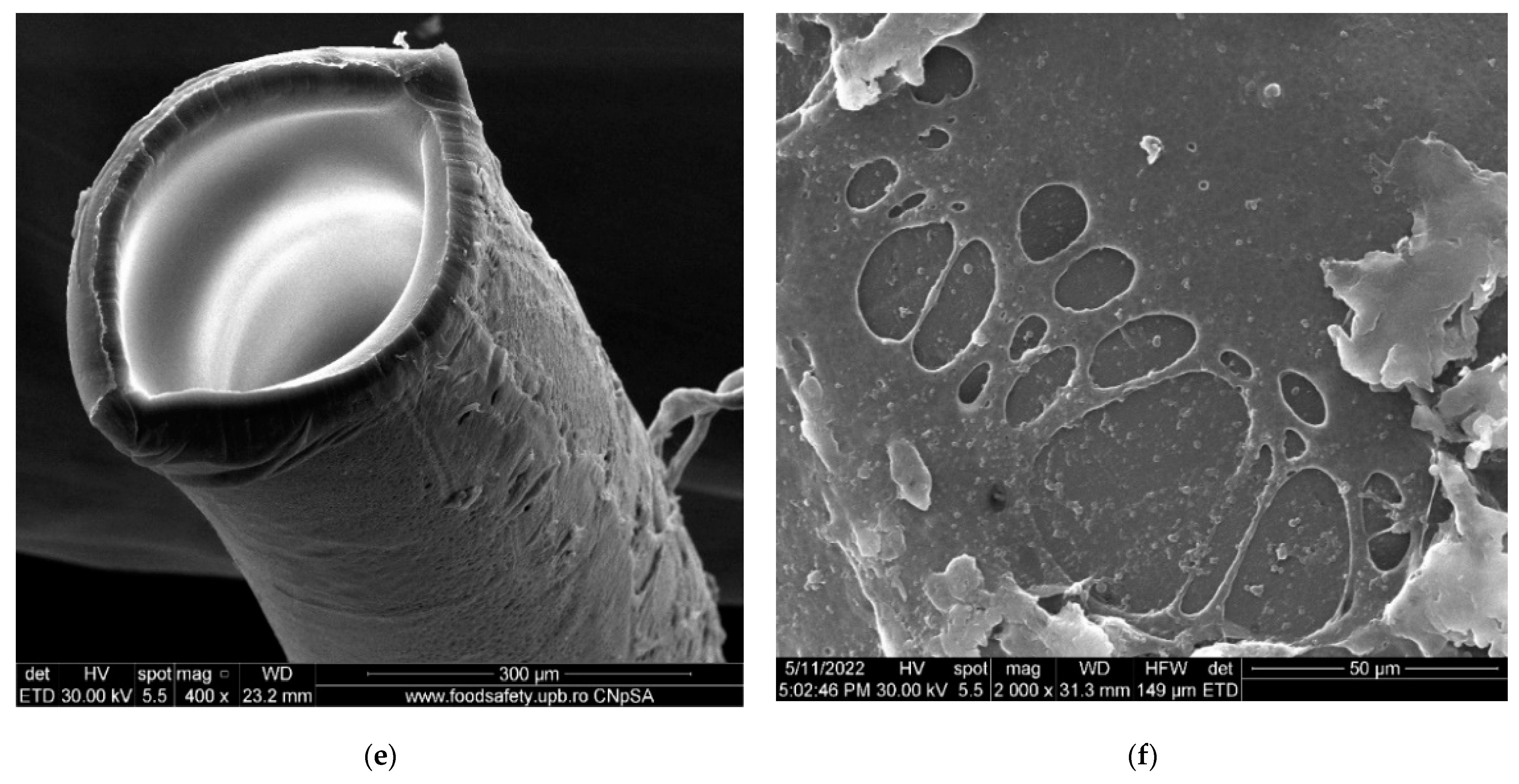 Membranes 12 00833 g004b