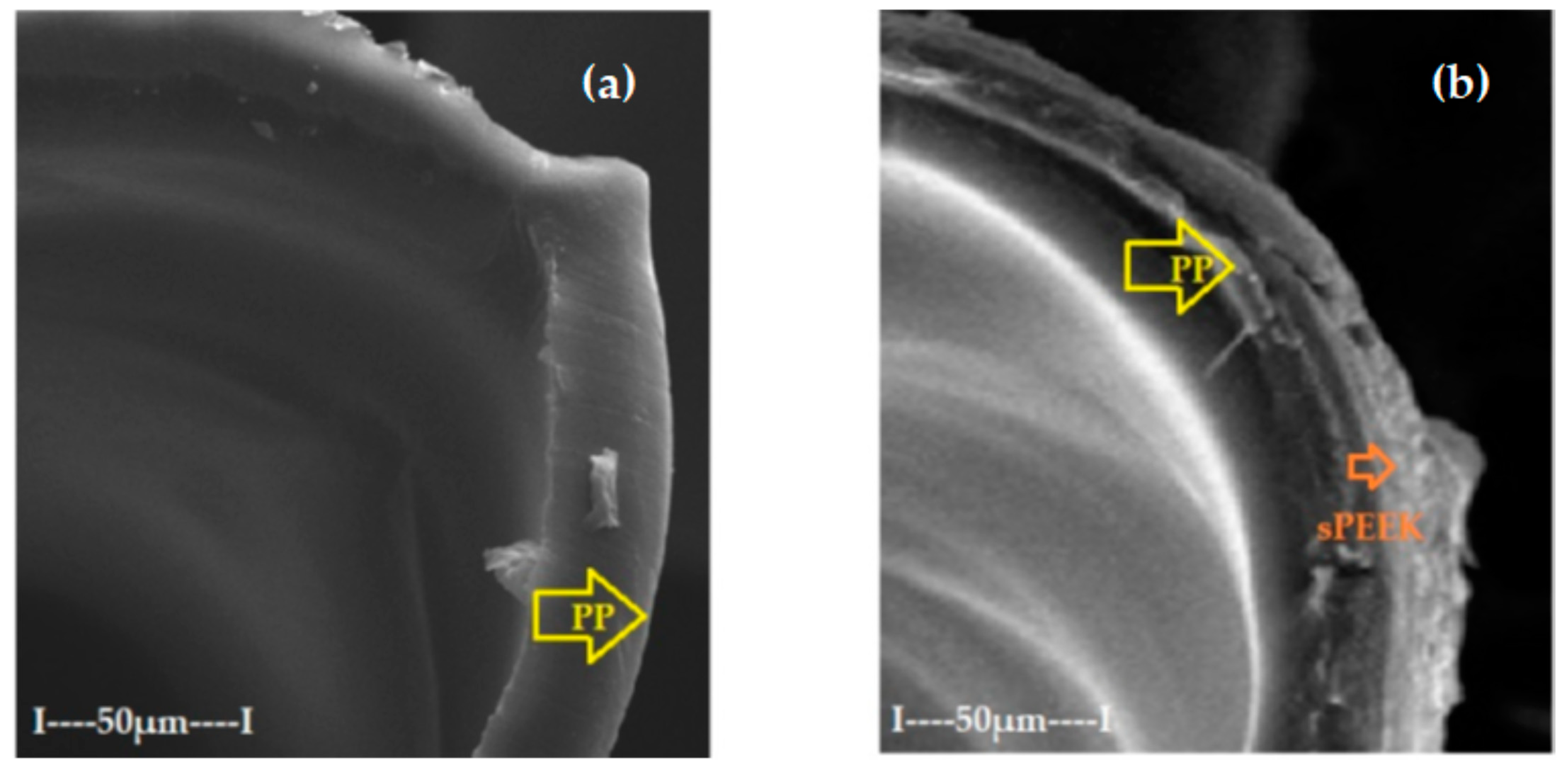 Membranes 12 00833 g005