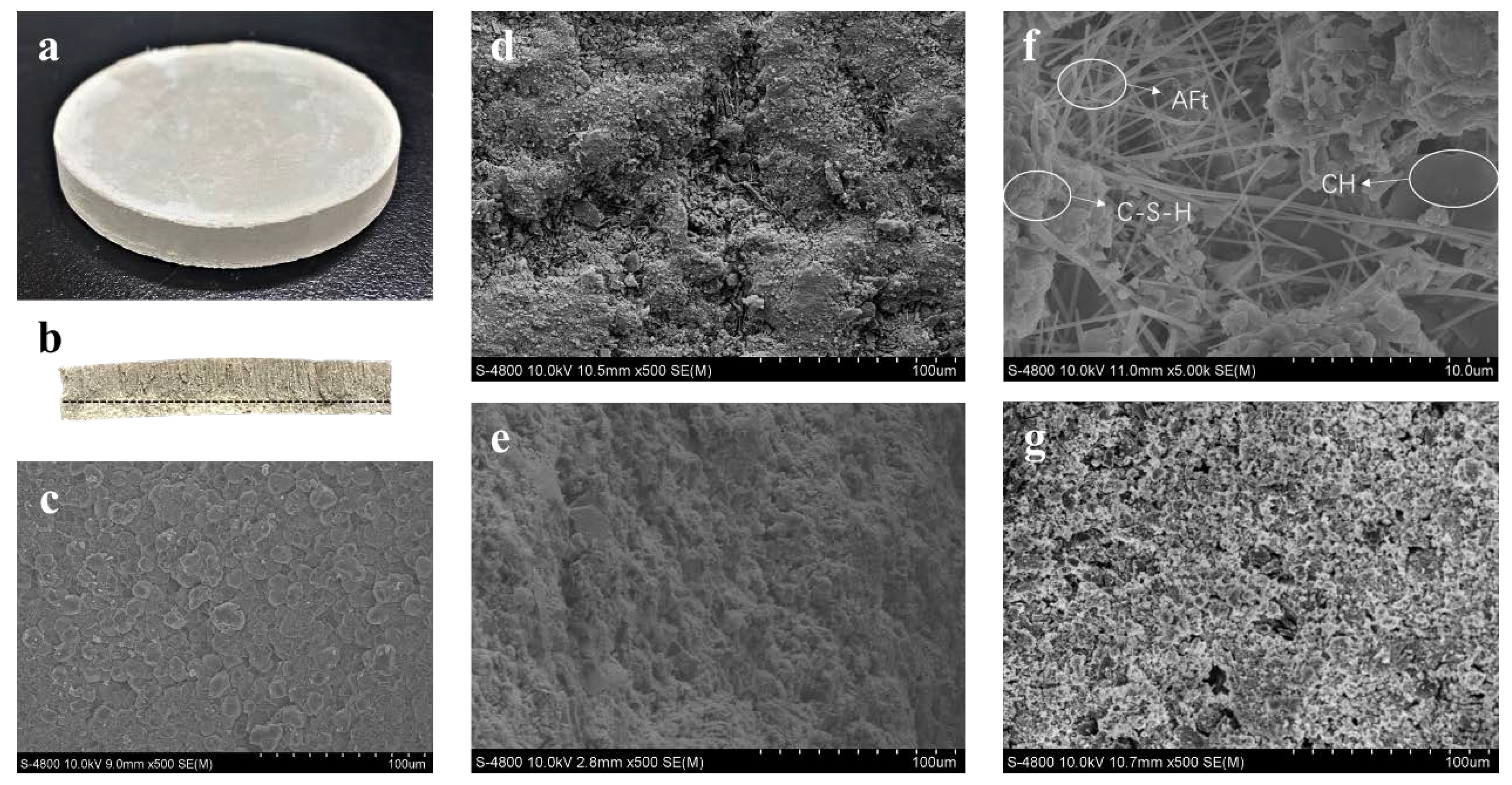 Membranes 12 00838 g004