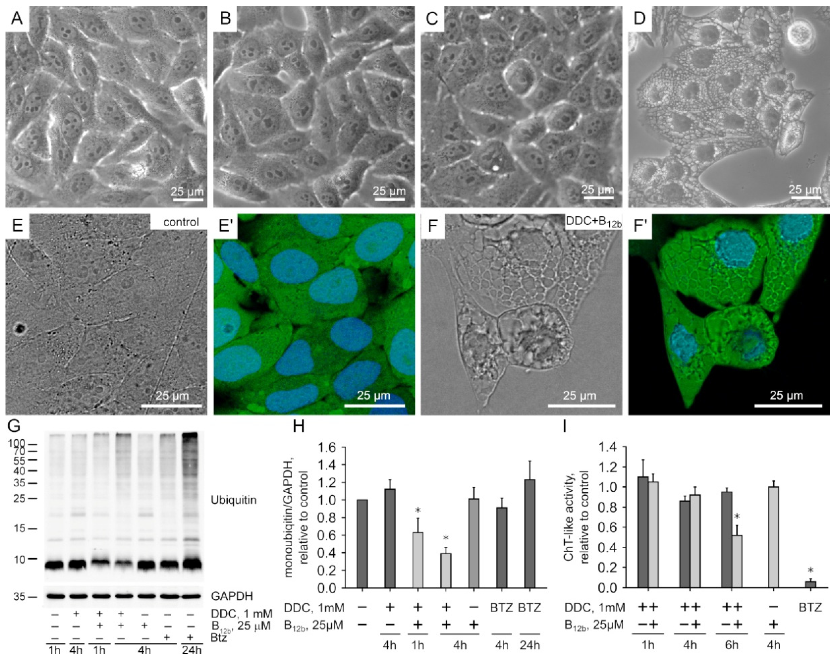 Membranes 12 00845 g001 Membranes 12 00845 g001