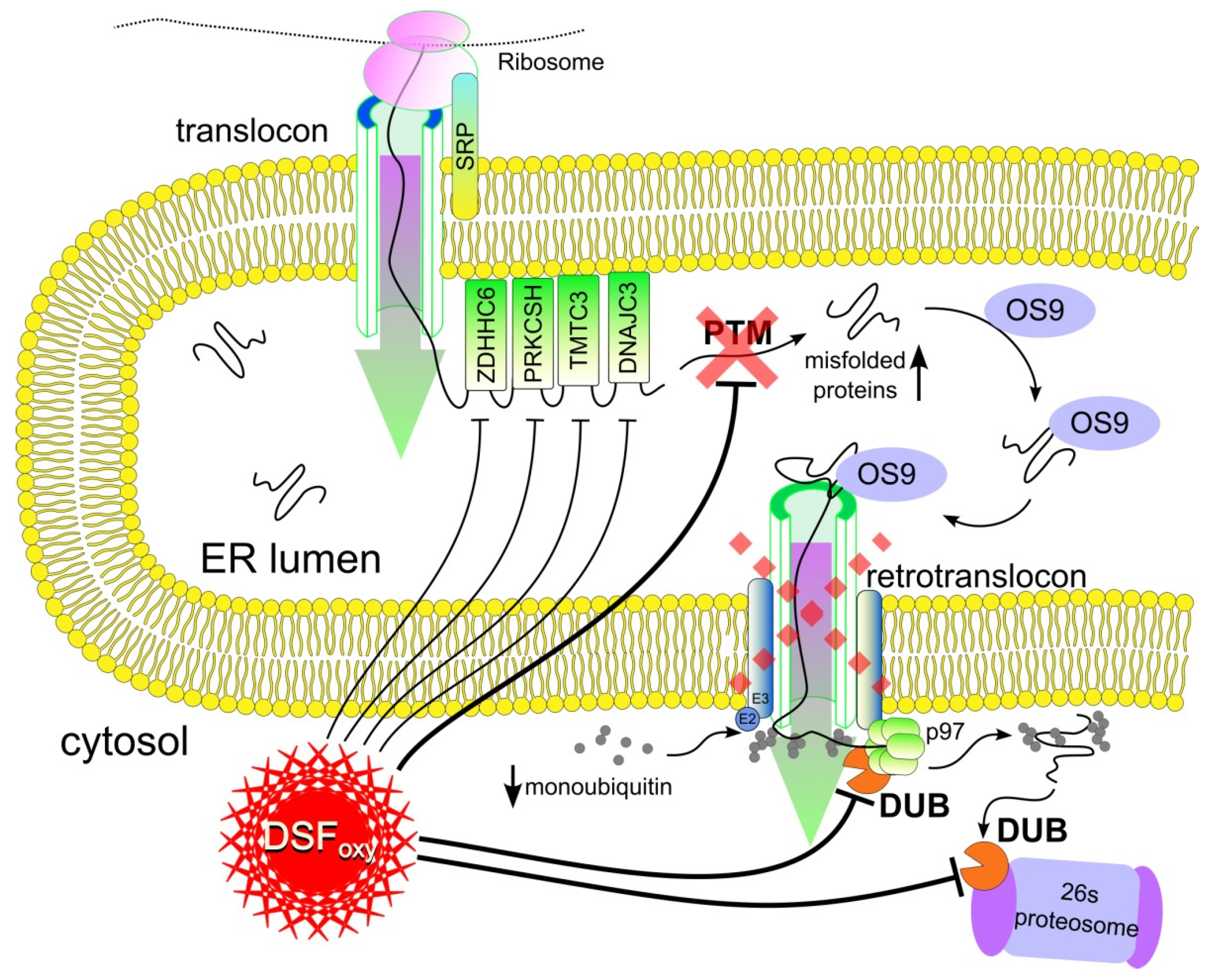 Membranes 12 00845 g005 Membranes 12 00845 g005